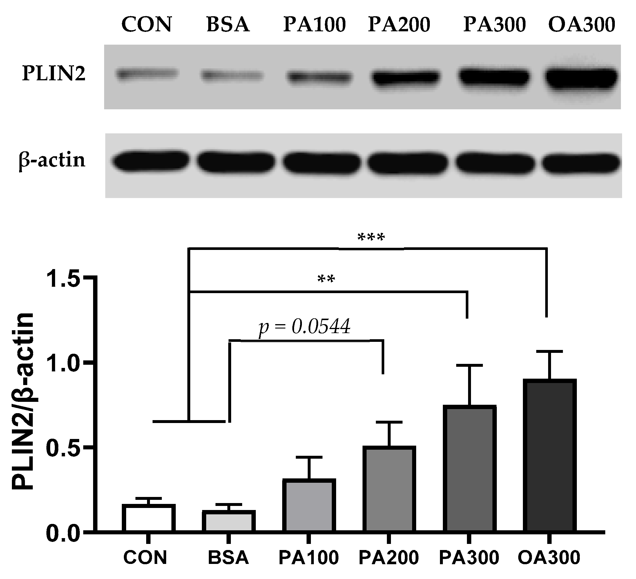 Cells 14 00349 g006 Cells 14 00349 g006