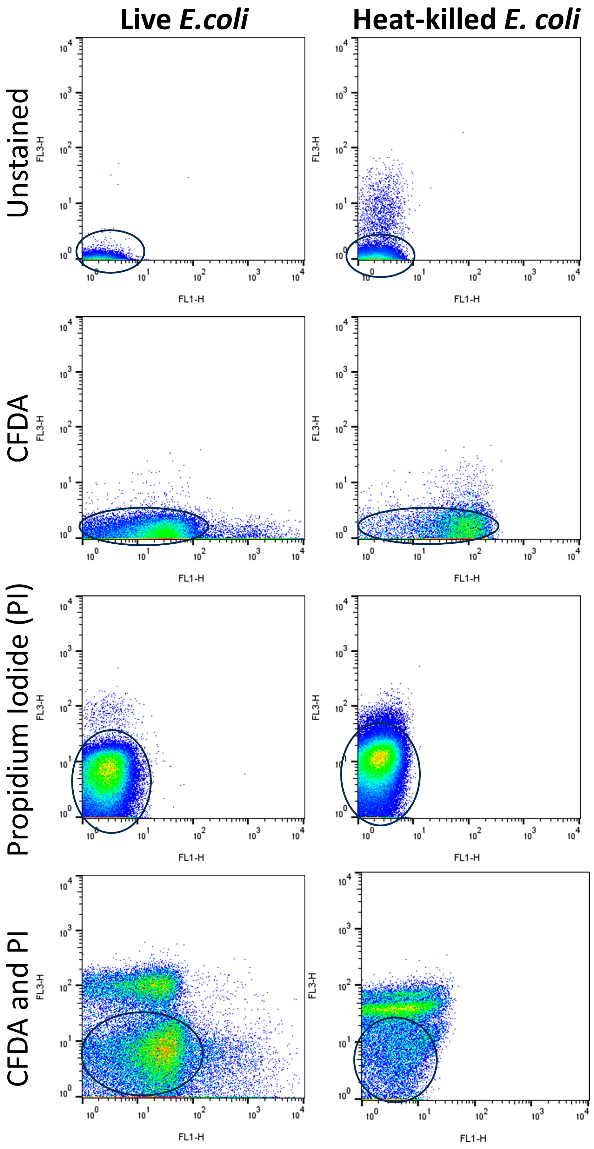 Cells 14 00352 g001 Cells 14 00352 g001