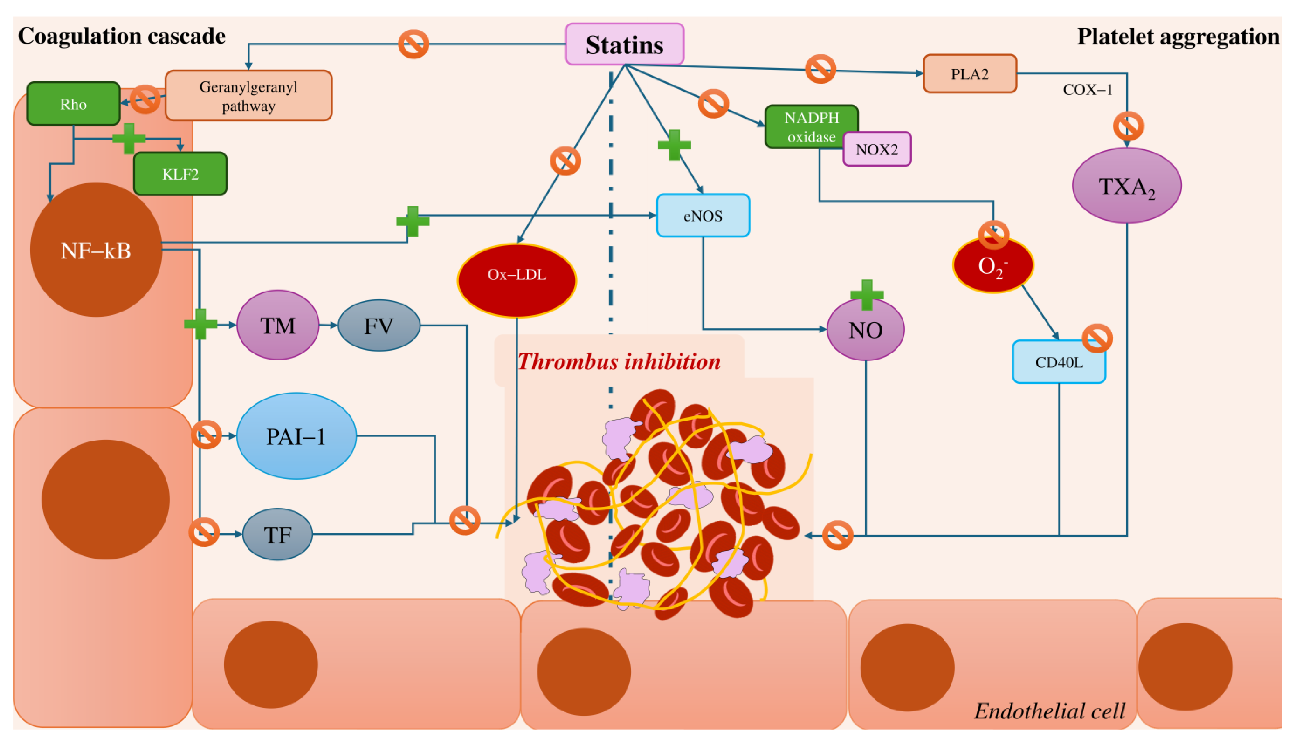 Cells 14 00353 g002 Cells 14 00353 g002