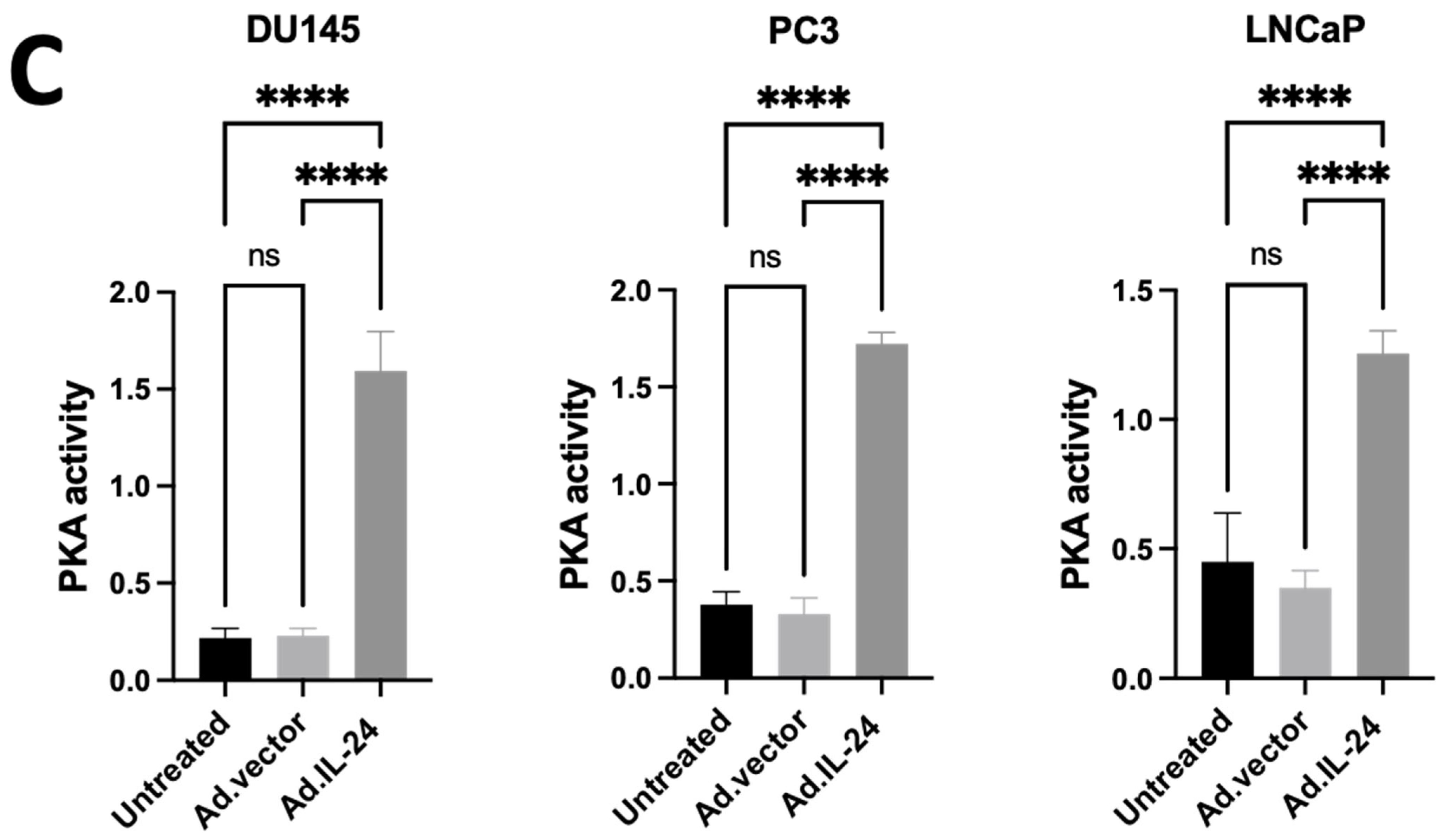 Cells 14 00357 g001b