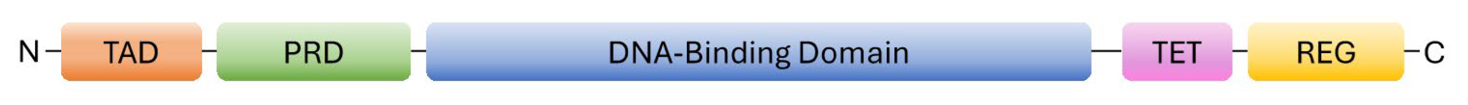 Cells 14 00363 g002 Cells 14 00363 g002