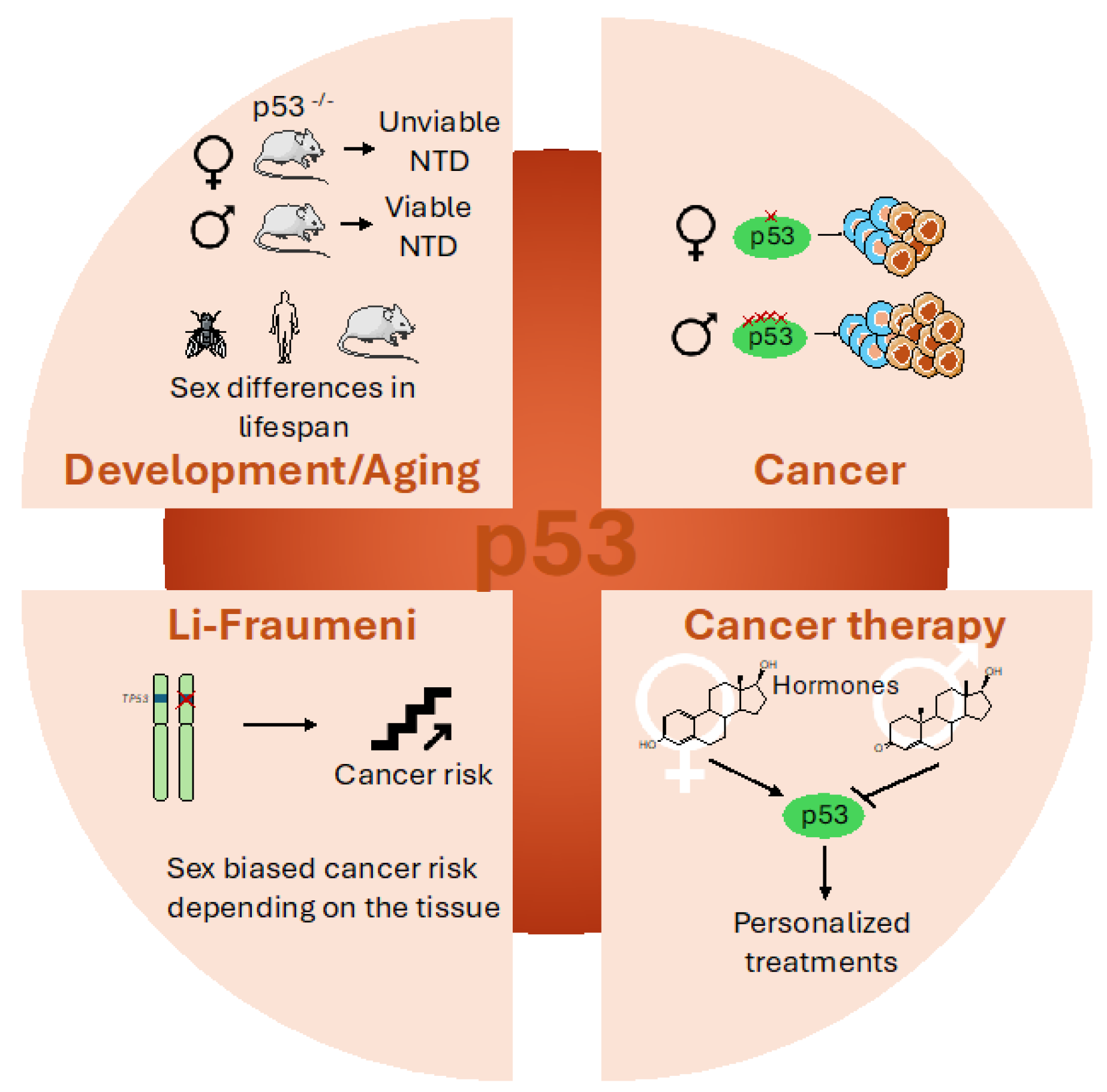 Cells 14 00363 g005 Cells 14 00363 g005