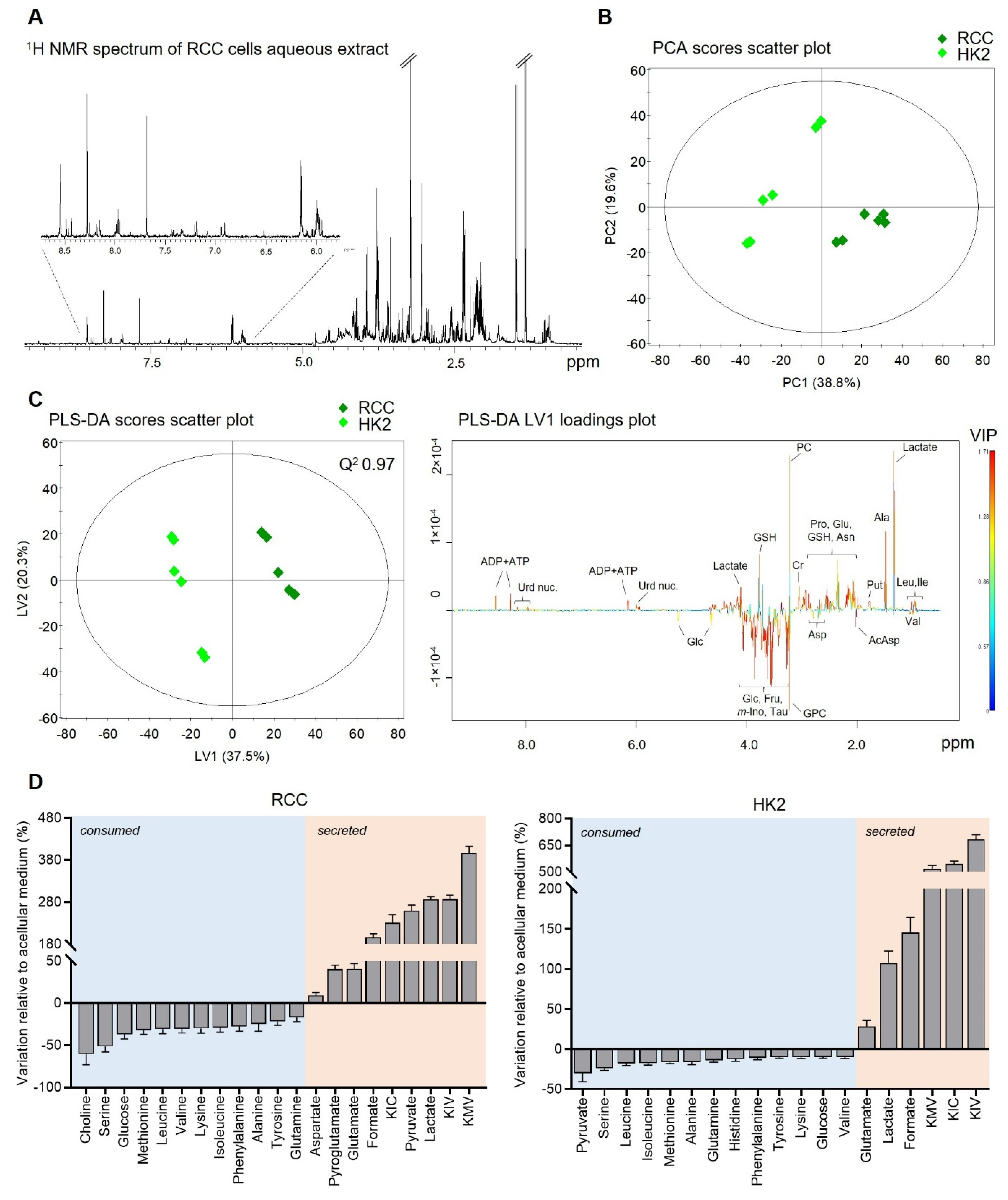 Exploring Metabolic Shifts in Kidney Cancer and Non-Cancer