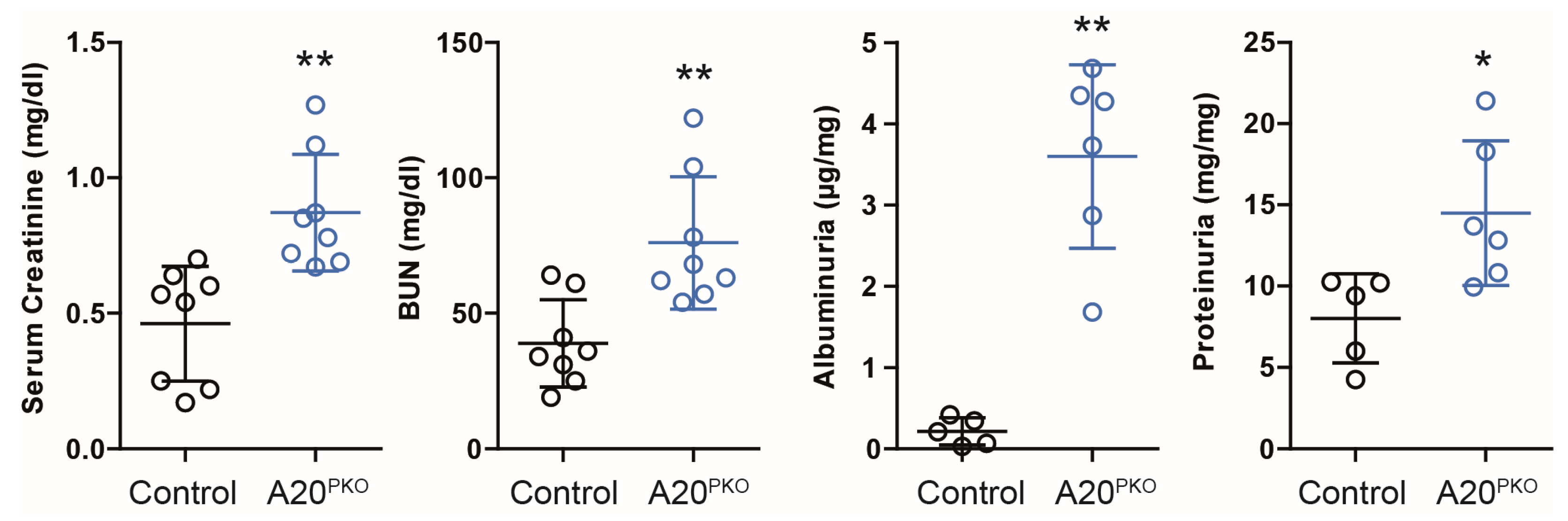 Cells 14 00381 g003 Cells 14 00381 g003