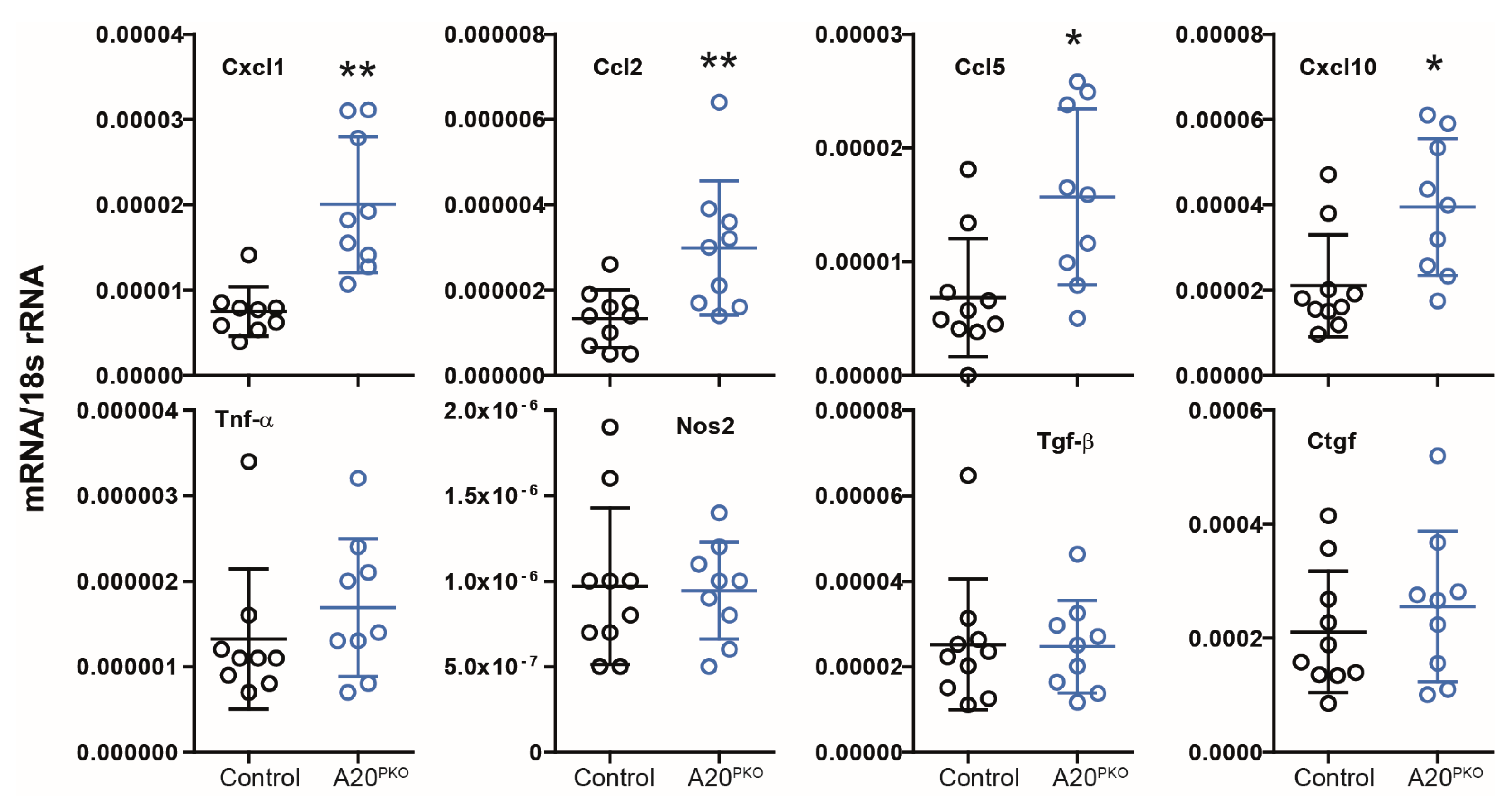 Cells 14 00381 g005 Cells 14 00381 g005