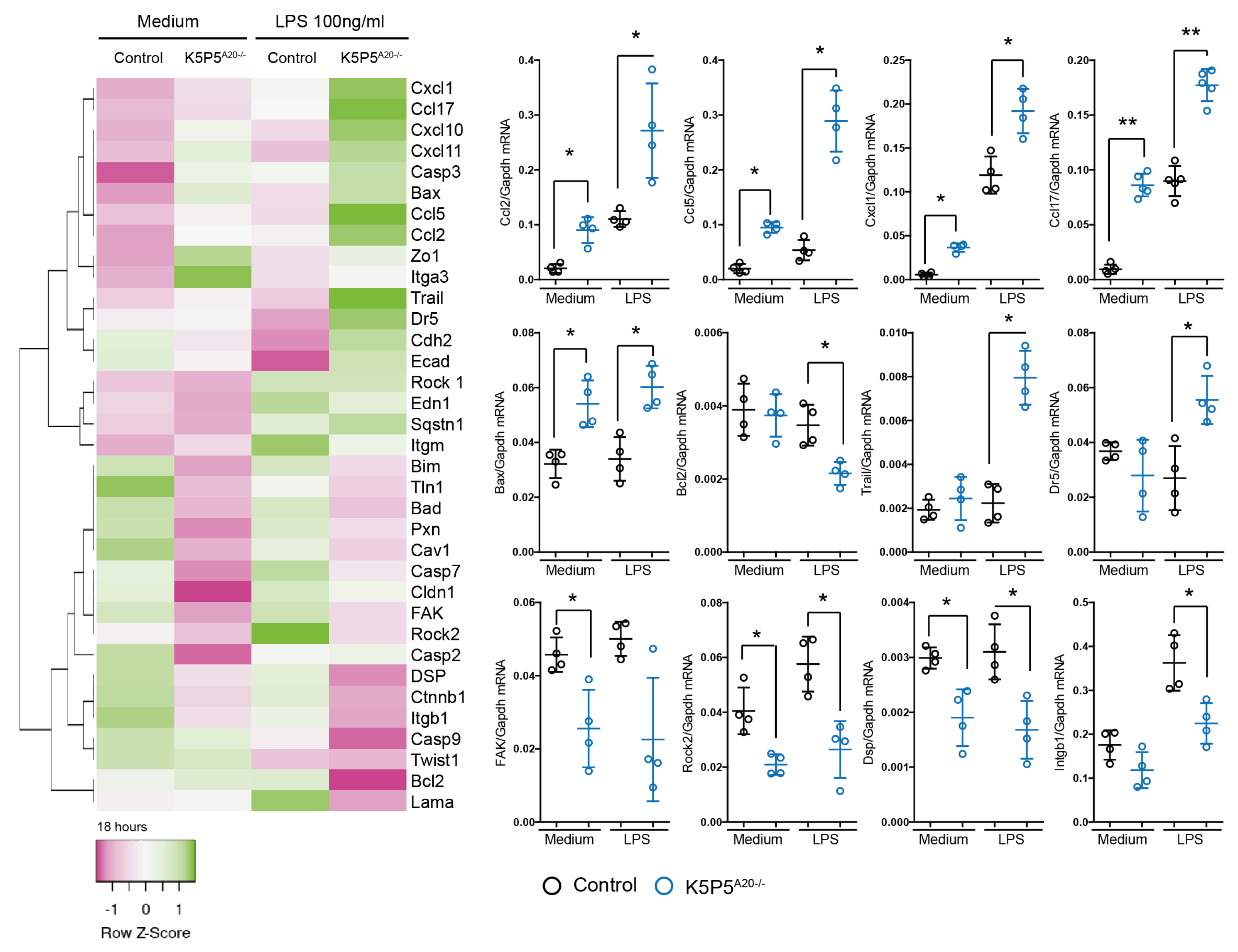Cells 14 00381 g011 Cells 14 00381 g011