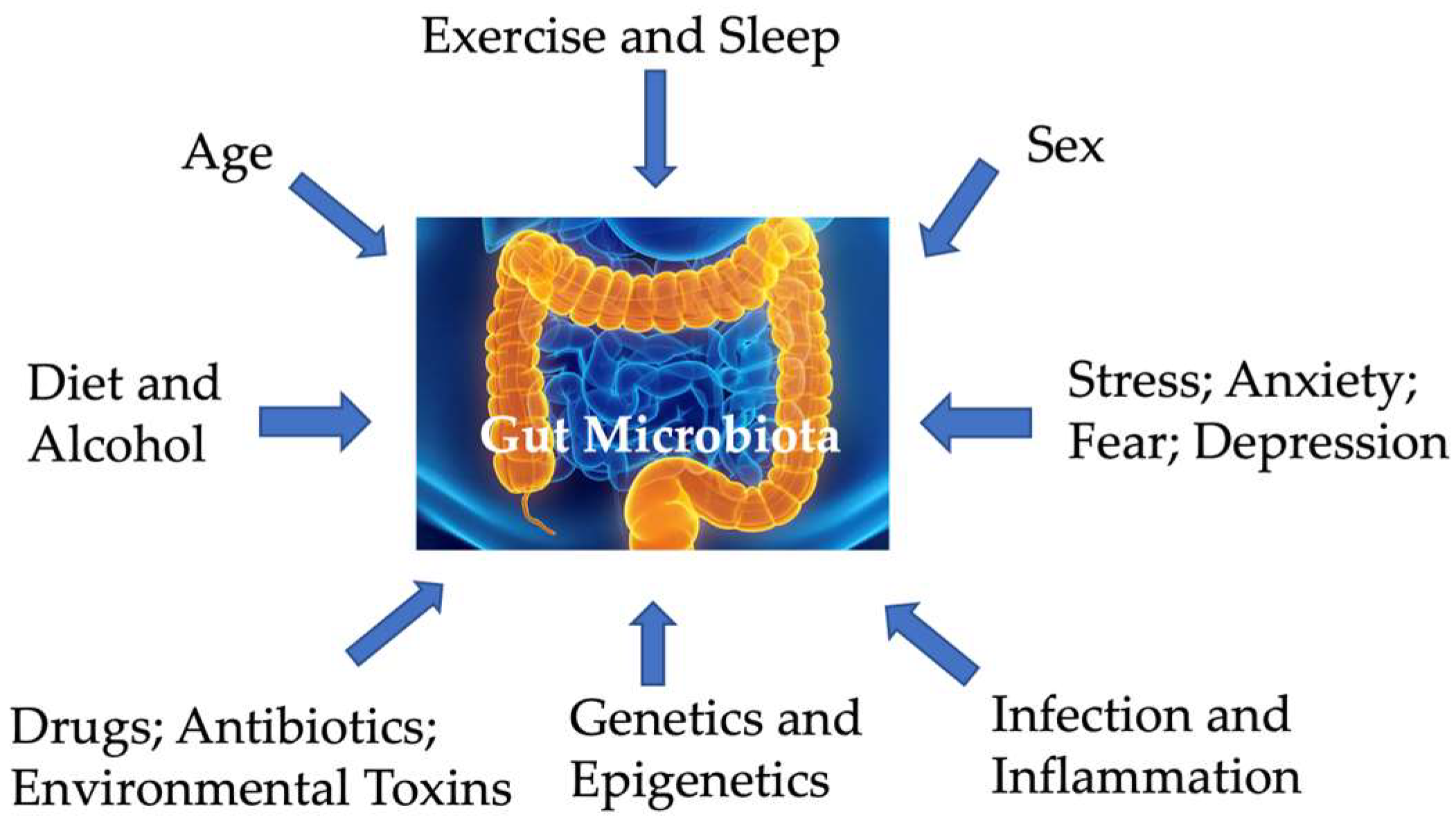 Cells 14 00384 g001 Cells 14 00384 g001