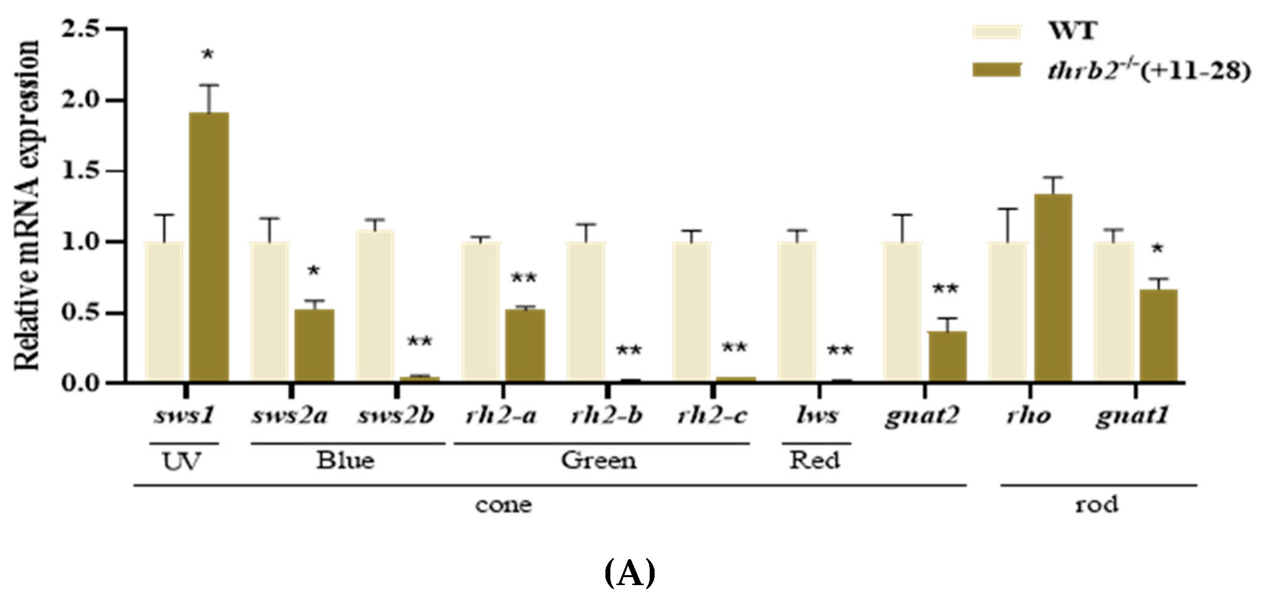 Cells 14 00386 g002a