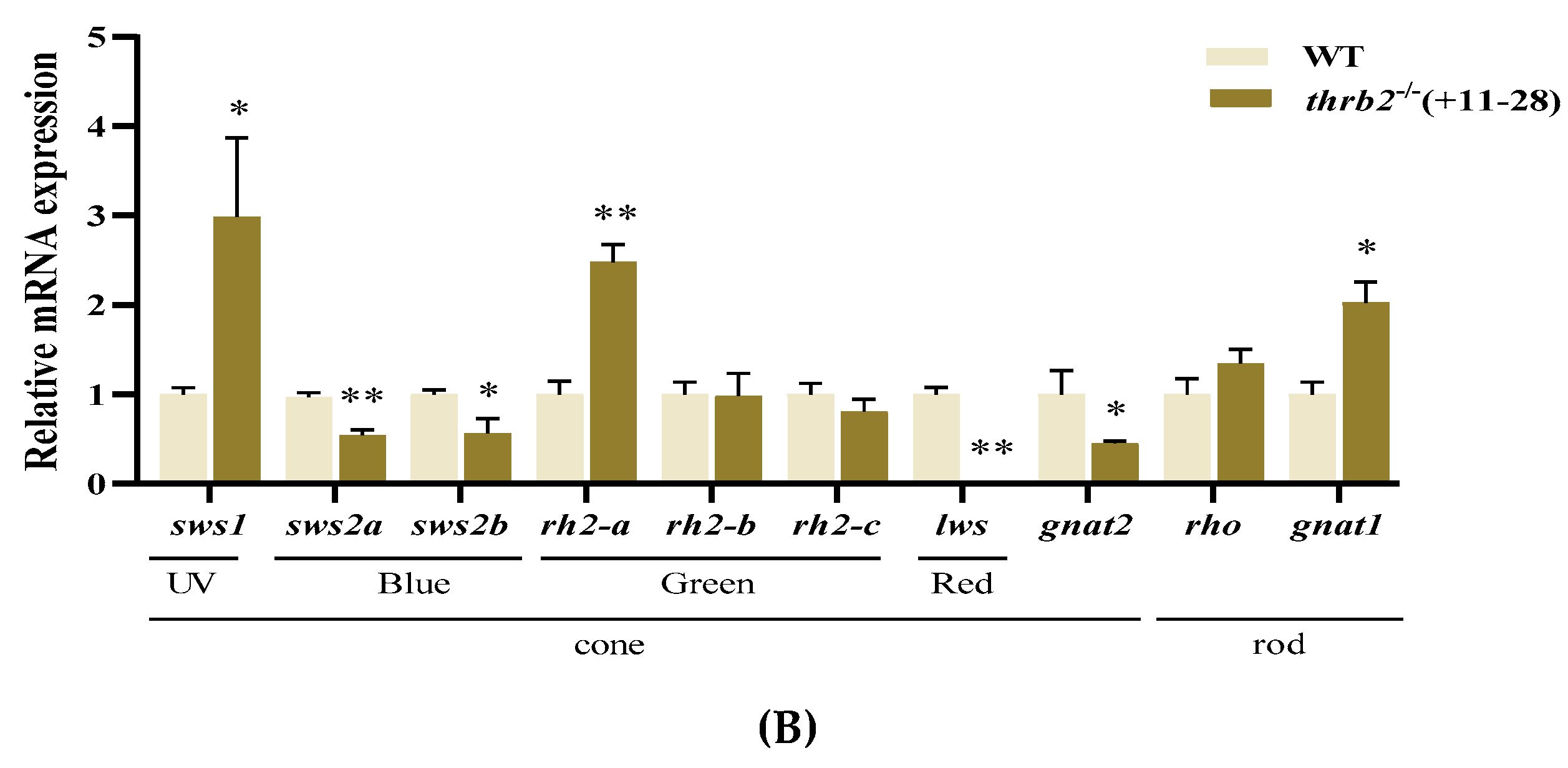 Cells 14 00386 g002b