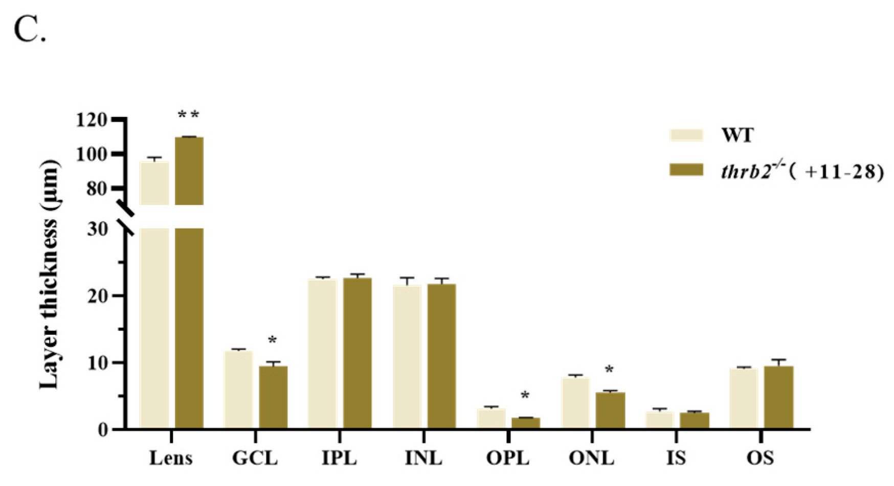 Cells 14 00386 g003b