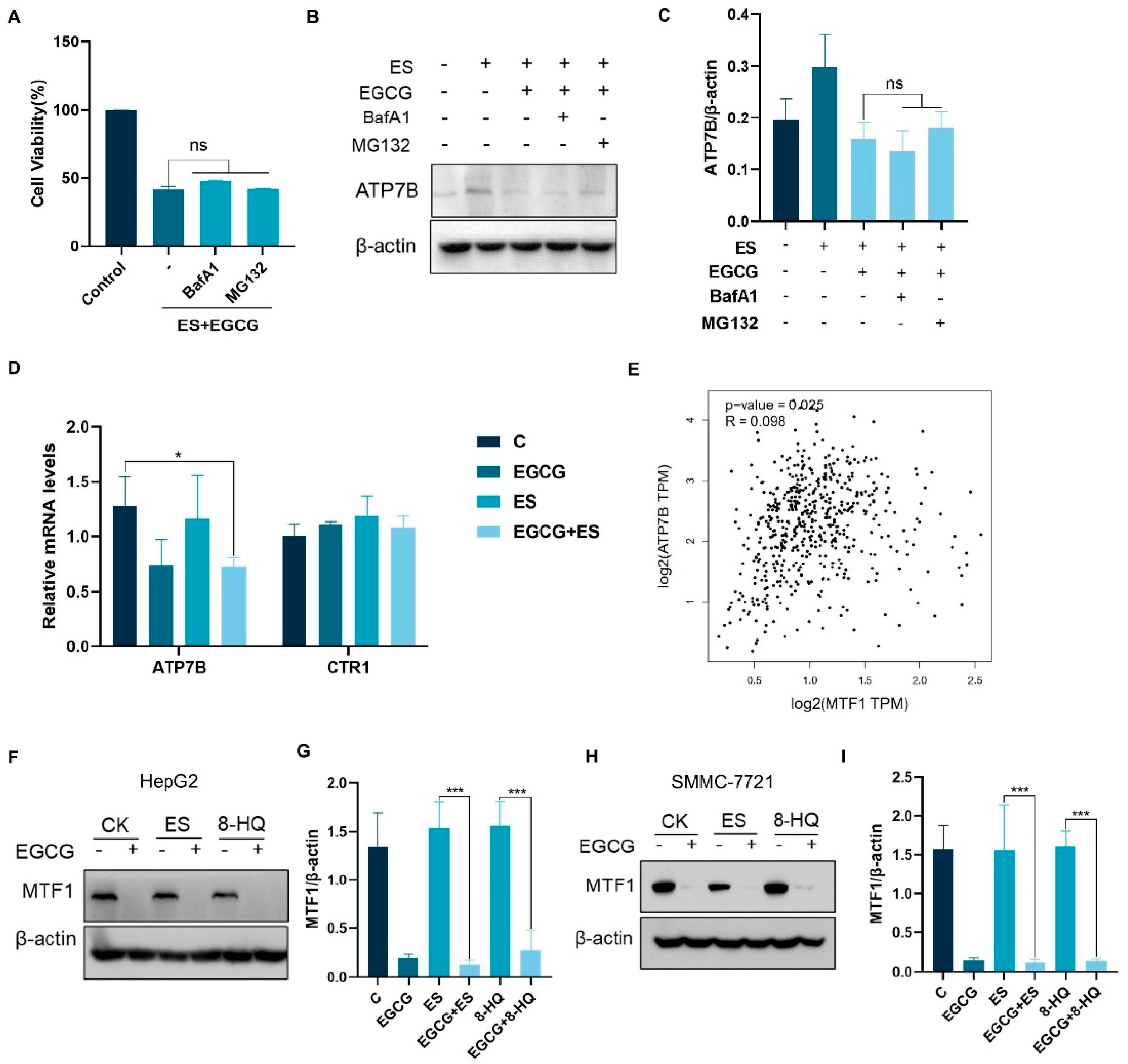 Cells 14 00391 g004 Cells 14 00391 g004