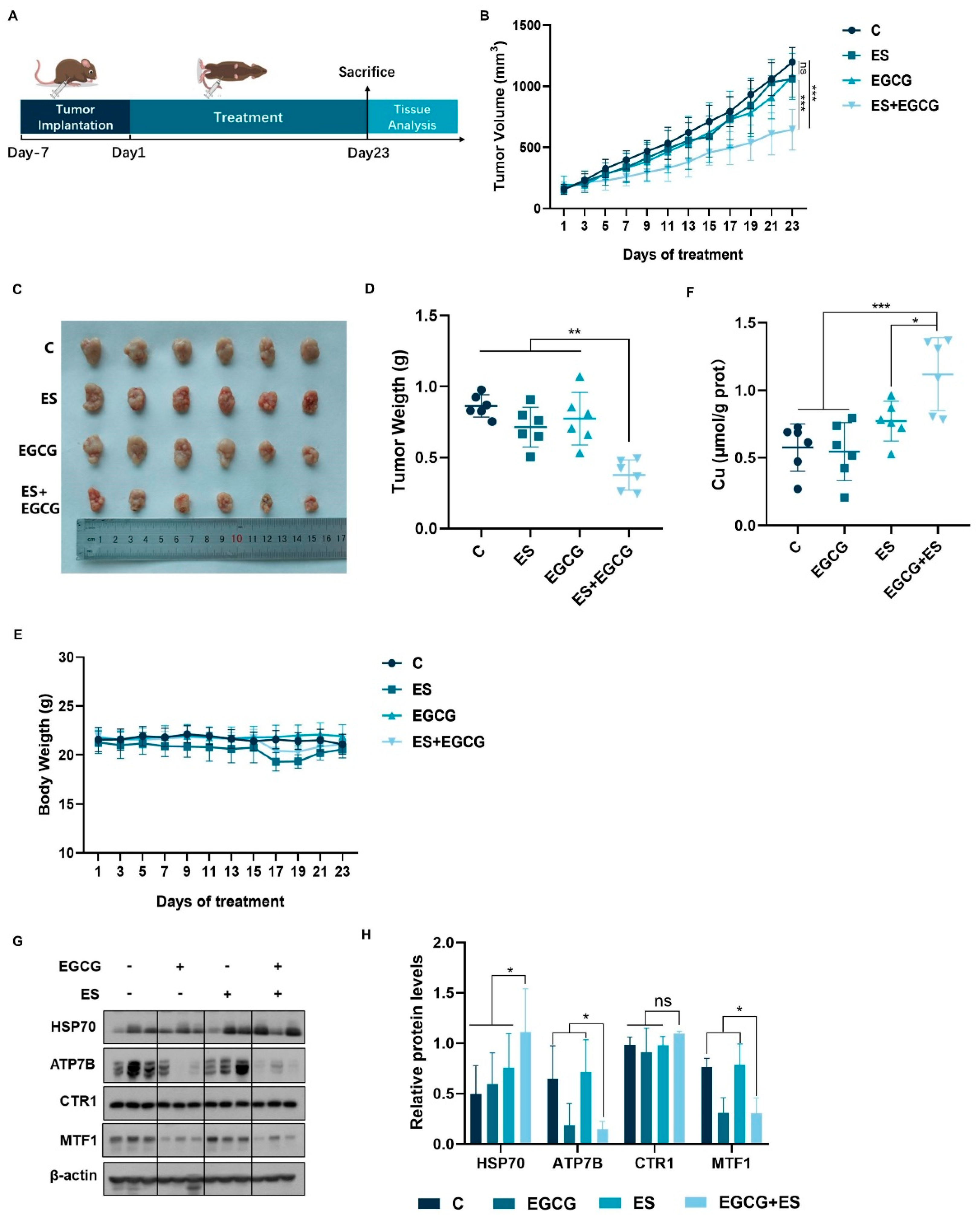 Cells 14 00391 g005 Cells 14 00391 g005