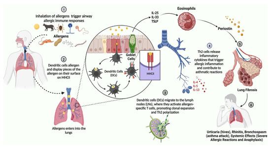 クラシックCD約１００タイトルセット Proinflammatory Cytokines in Chronic Respiratory Diseases