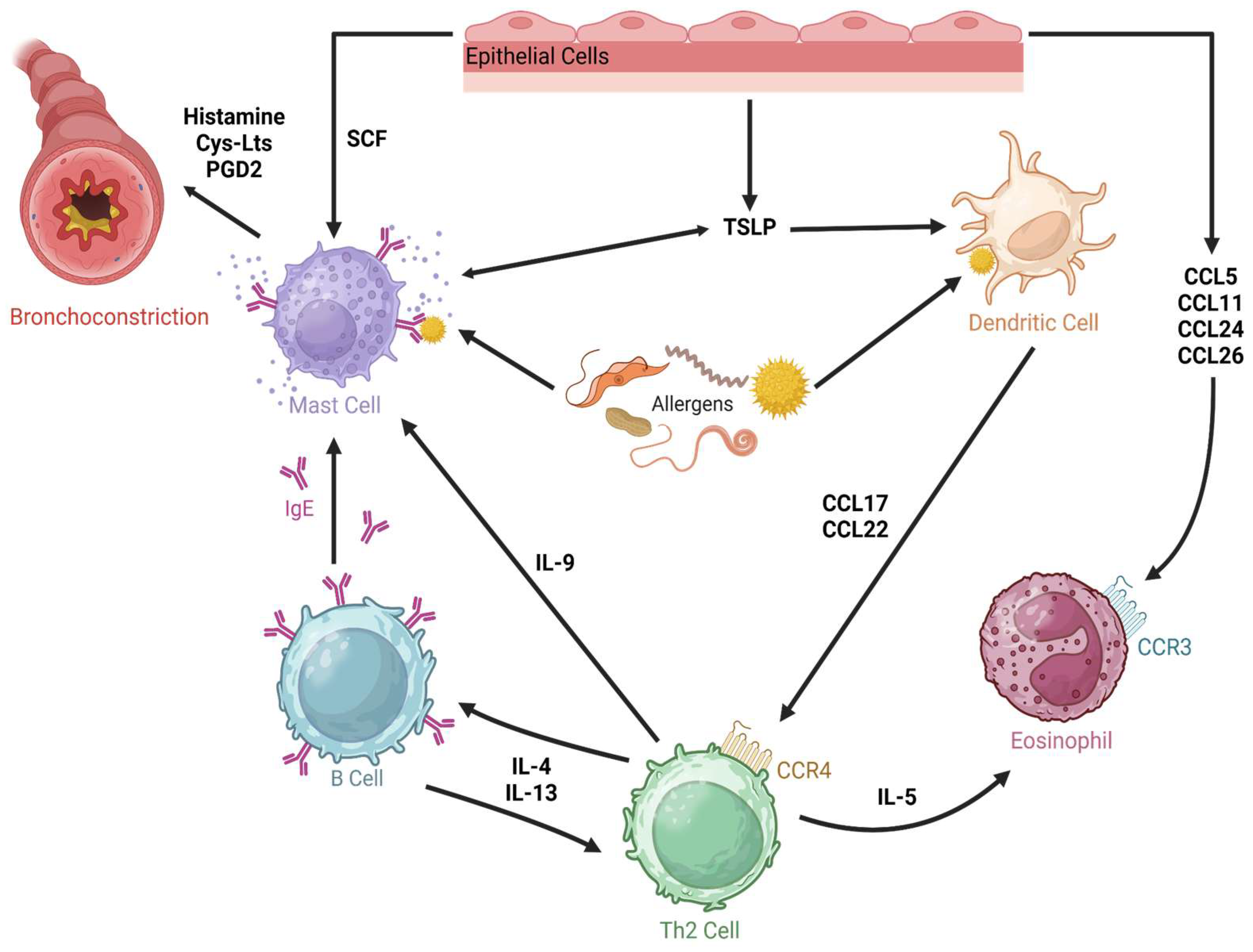 Proinflammatory Cytokines in Chronic Respiratory Diseases