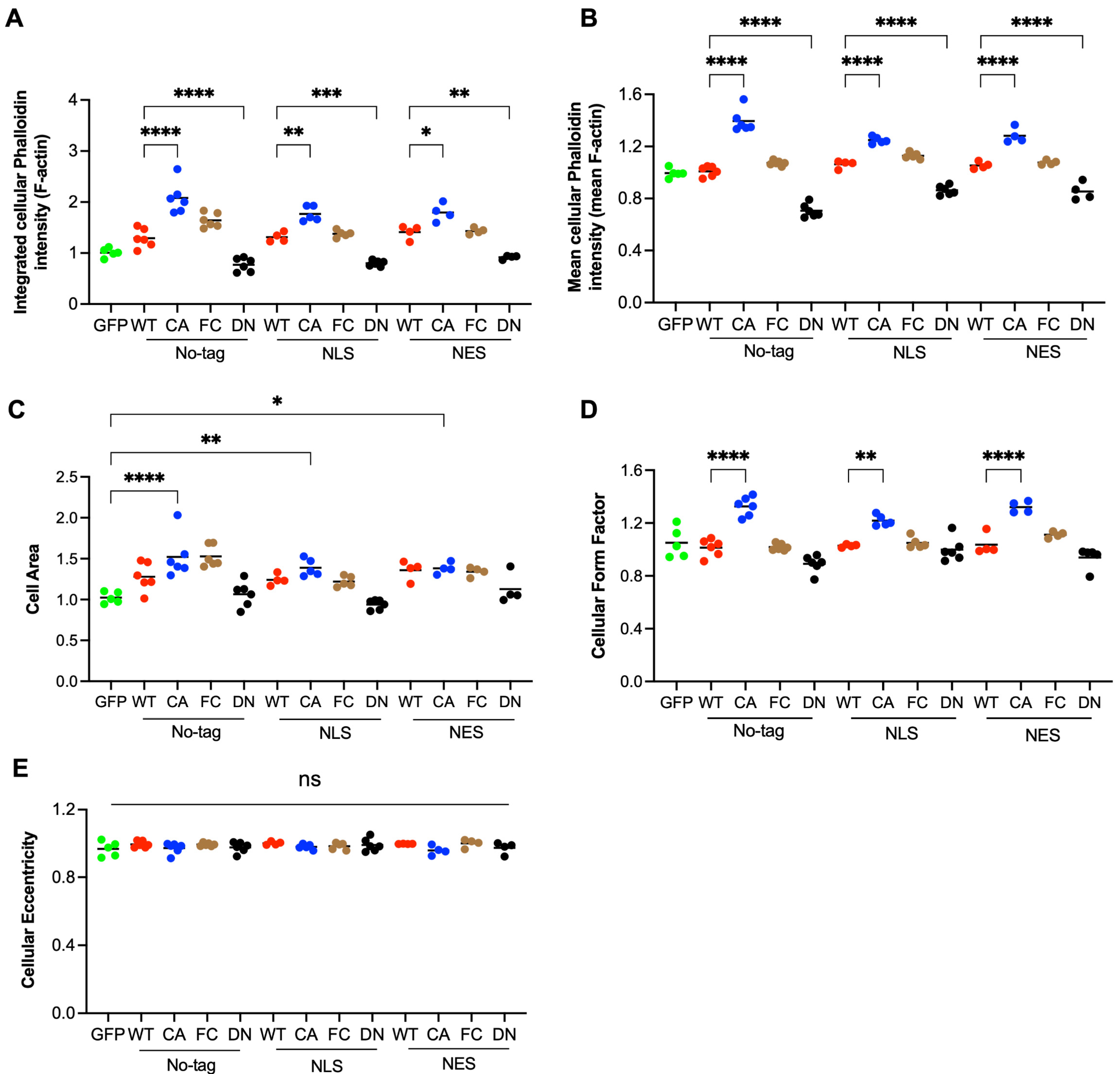 Cells 14 00404 g002 Cells 14 00404 g002