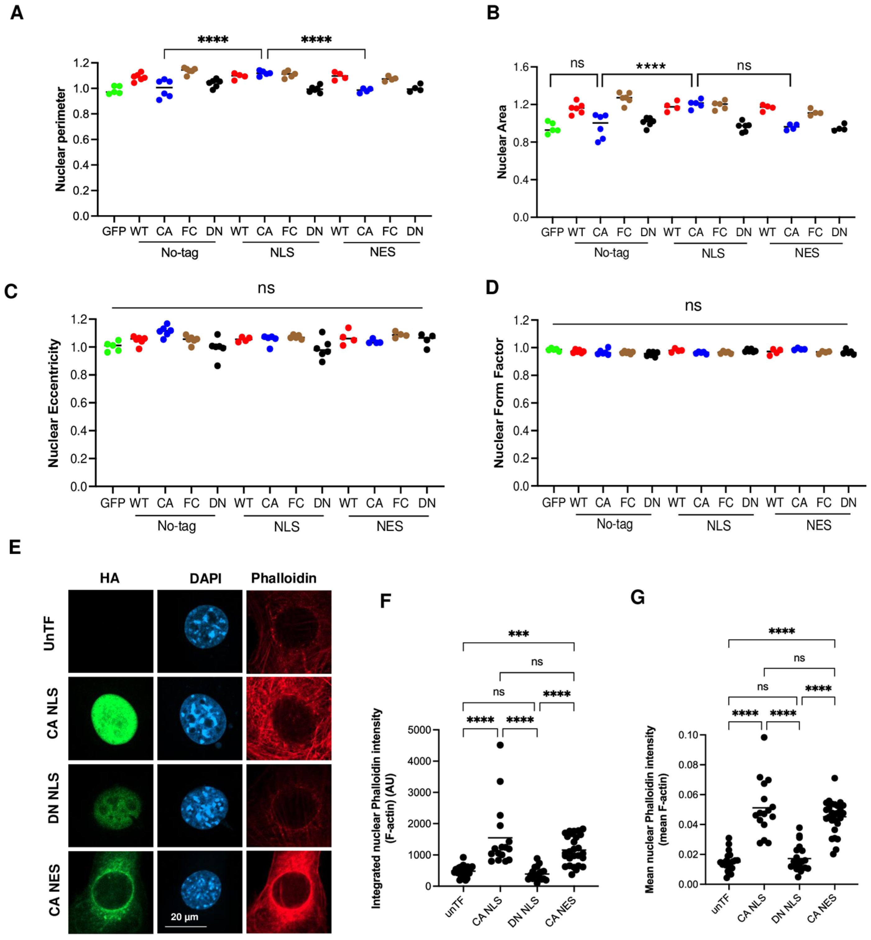 Cells 14 00404 g003 Cells 14 00404 g003