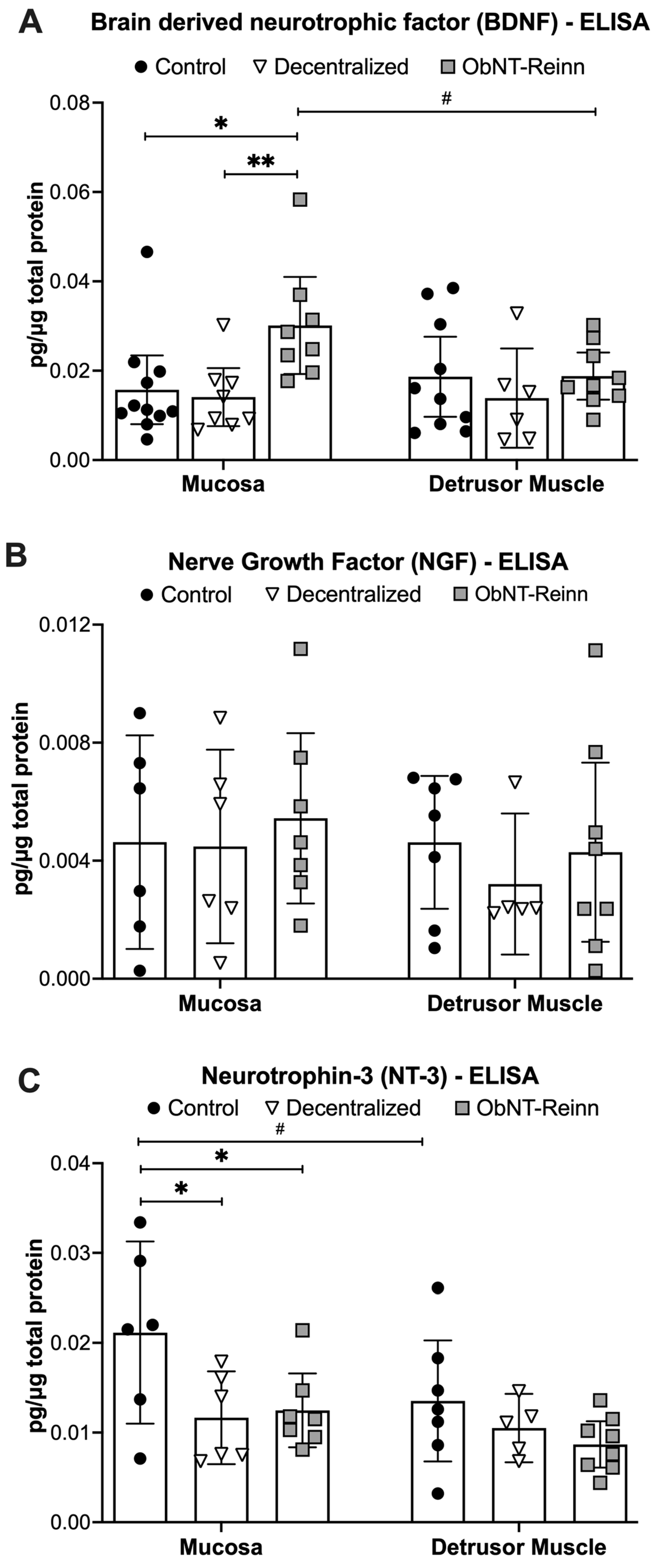 Cells 14 00406 g002 Cells 14 00406 g002