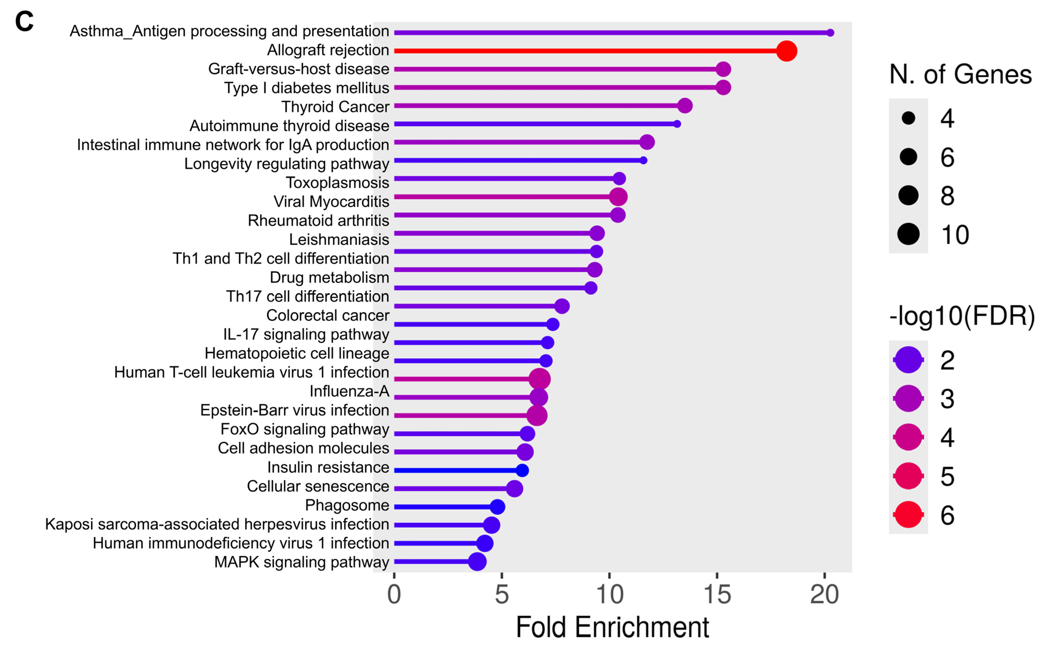 Cells 14 00423 g007b
