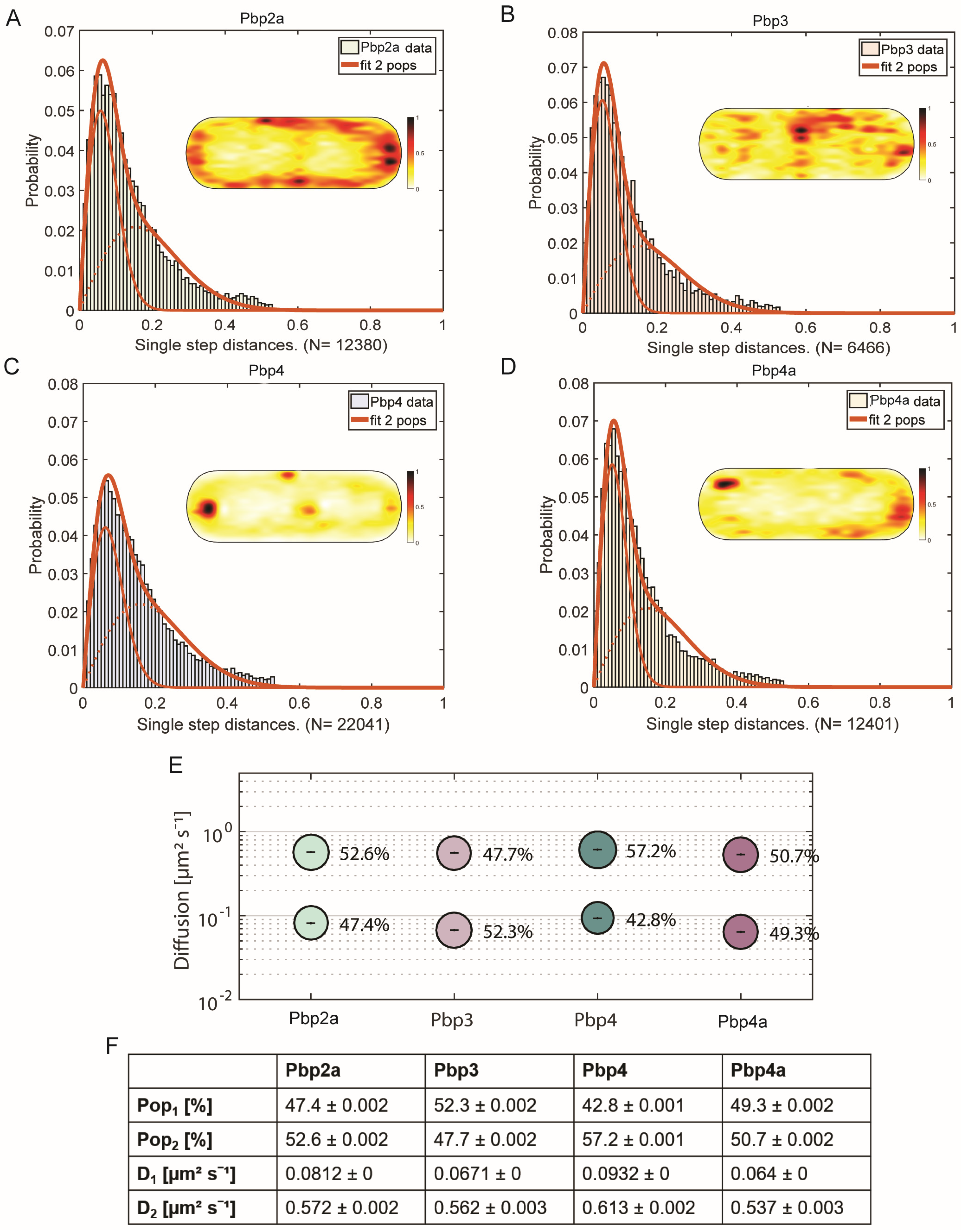 Cells 14 00429 g002 Cells 14 00429 g002