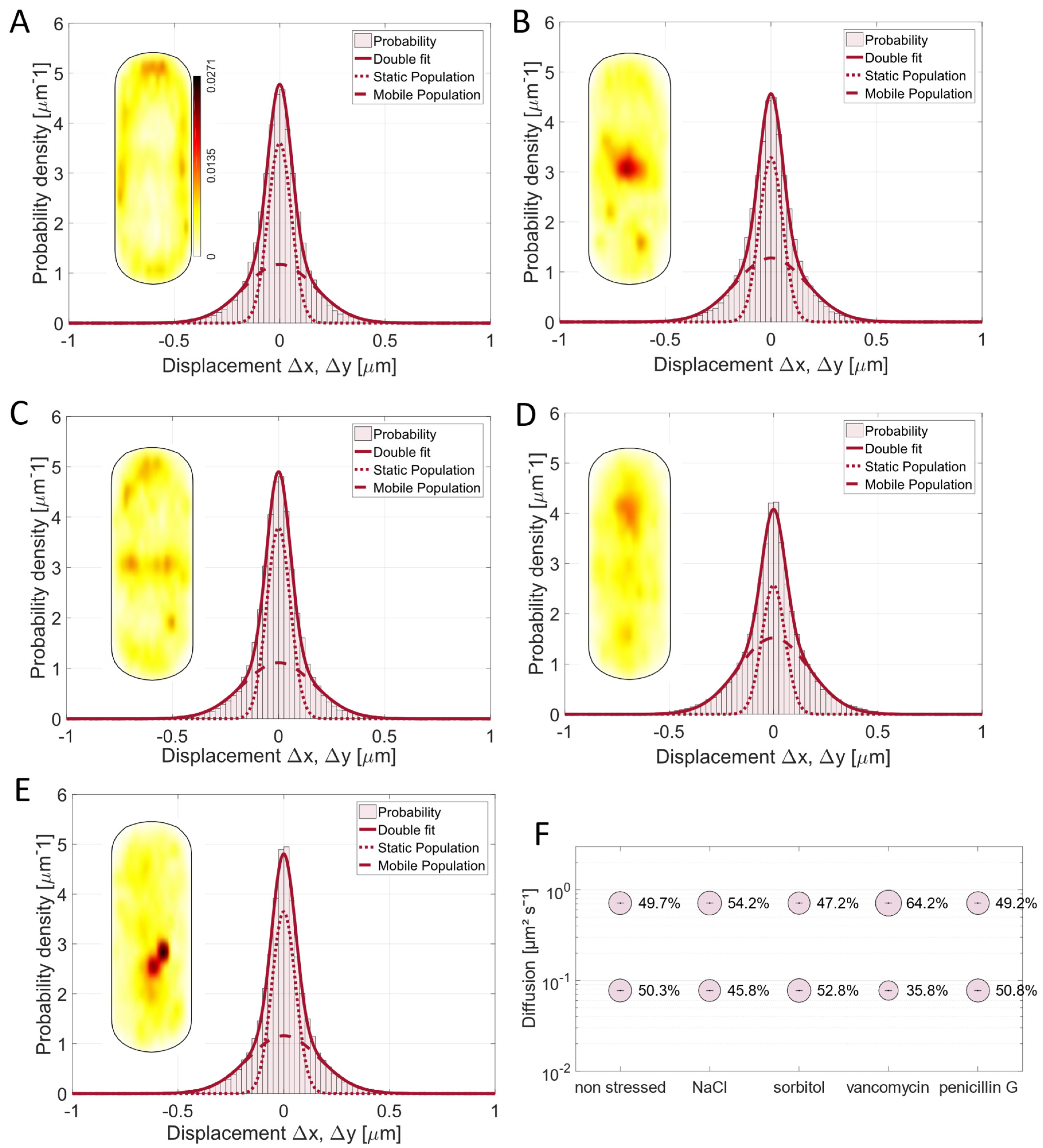 Cells 14 00429 g003 Cells 14 00429 g003