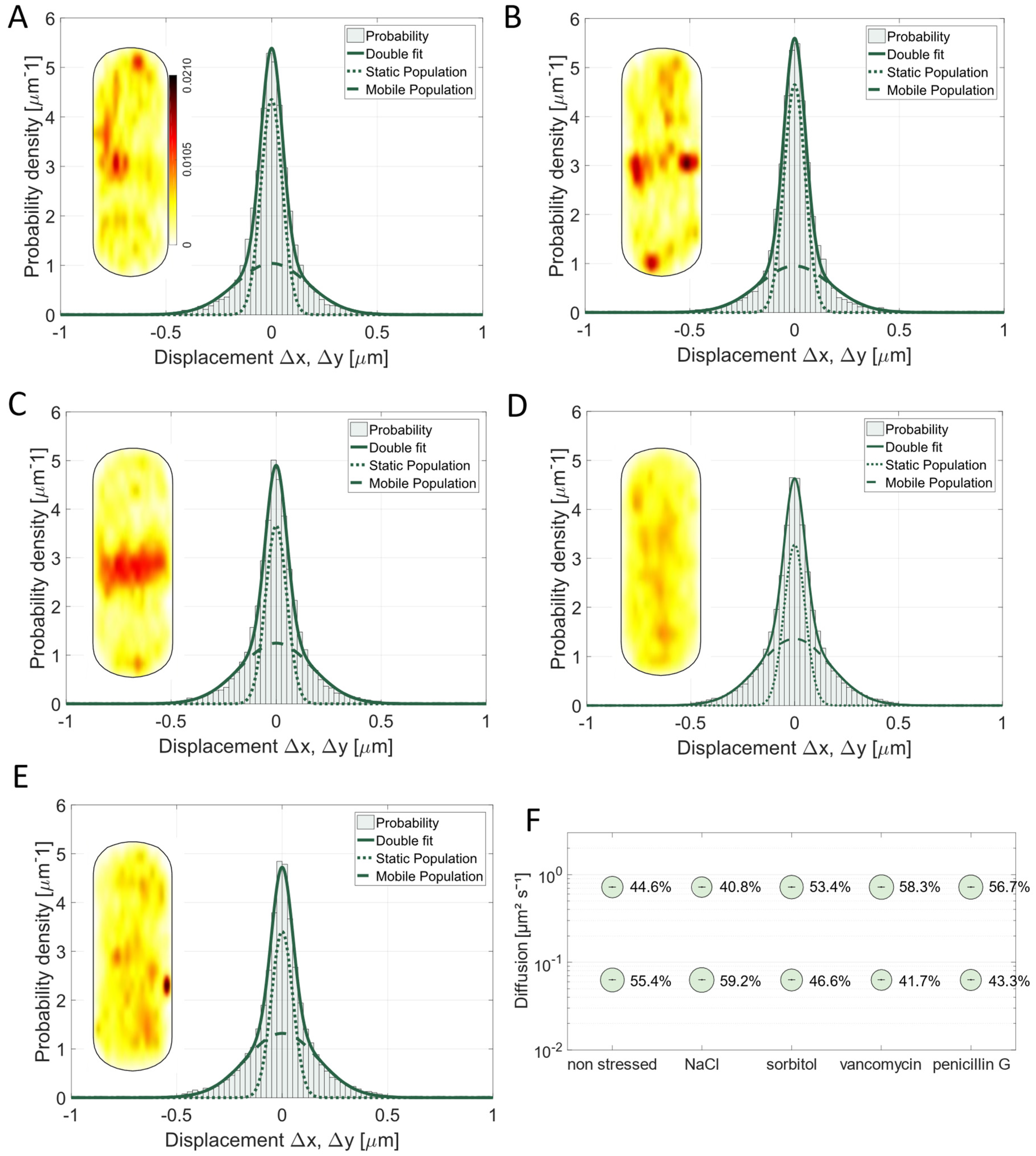 Cells 14 00429 g004 Cells 14 00429 g004
