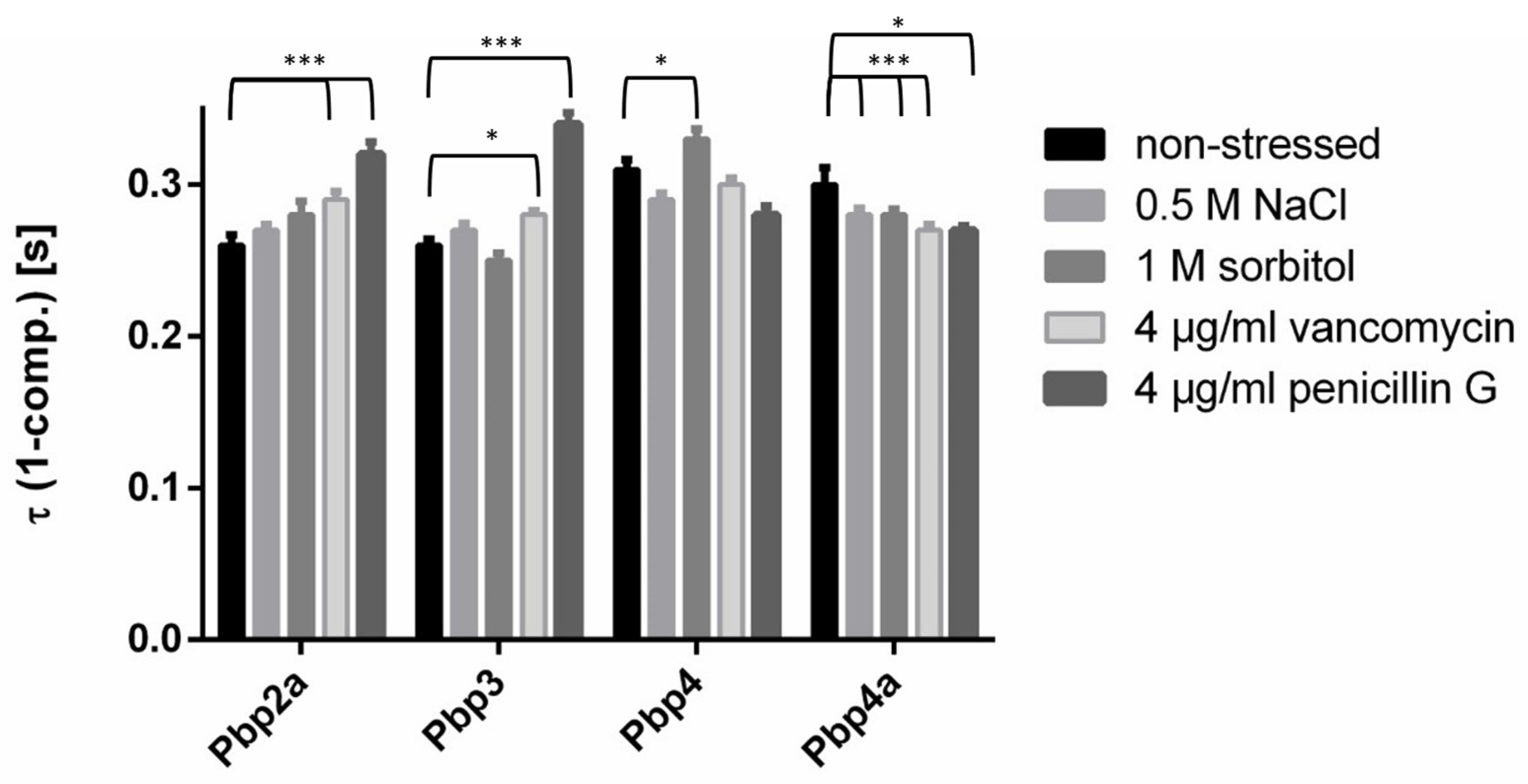 Cells 14 00429 g007 Cells 14 00429 g007