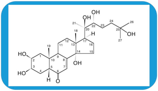 パン Molecular Targets of 20-Hydroxyecdysone in Mammals