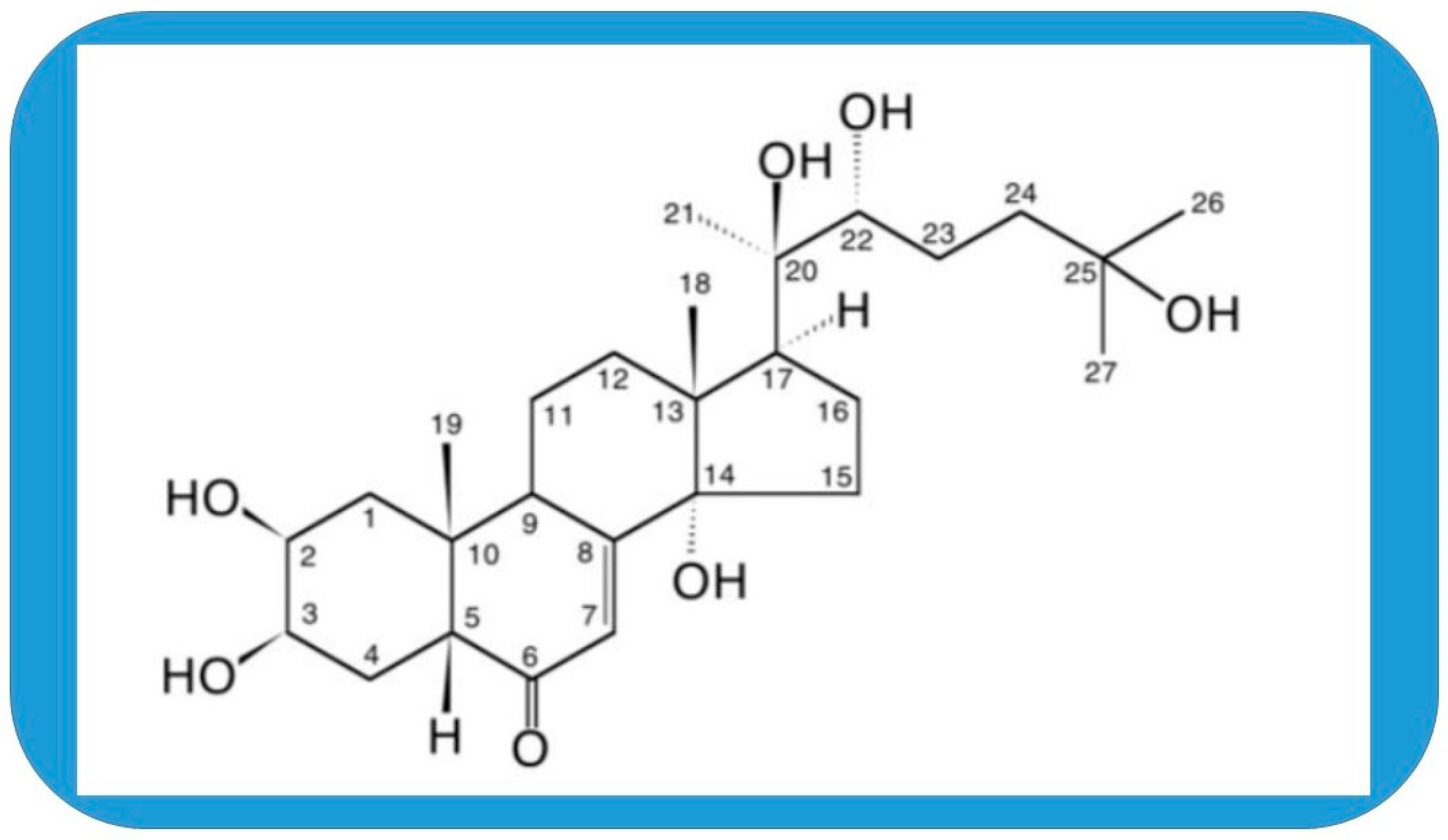 行列のできるレビュー商品、集めました。高評価アイテム Molecular Targets Mammals in 20-Hydroxyecdysone of クラブ