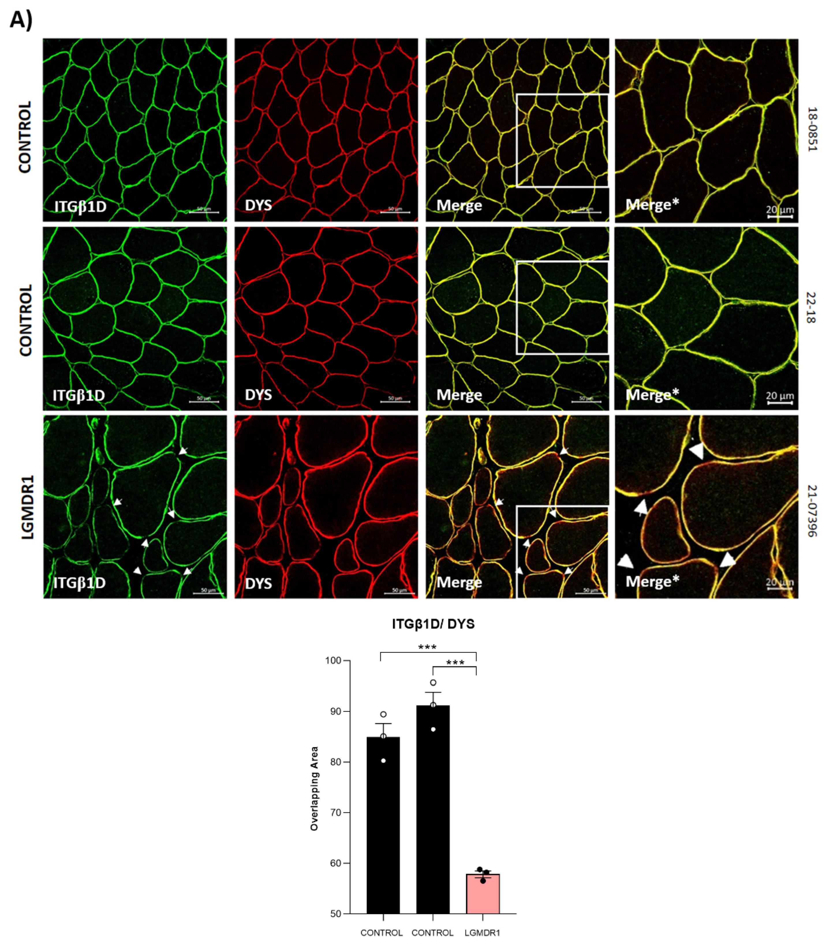 Cells 14 00446 g004a