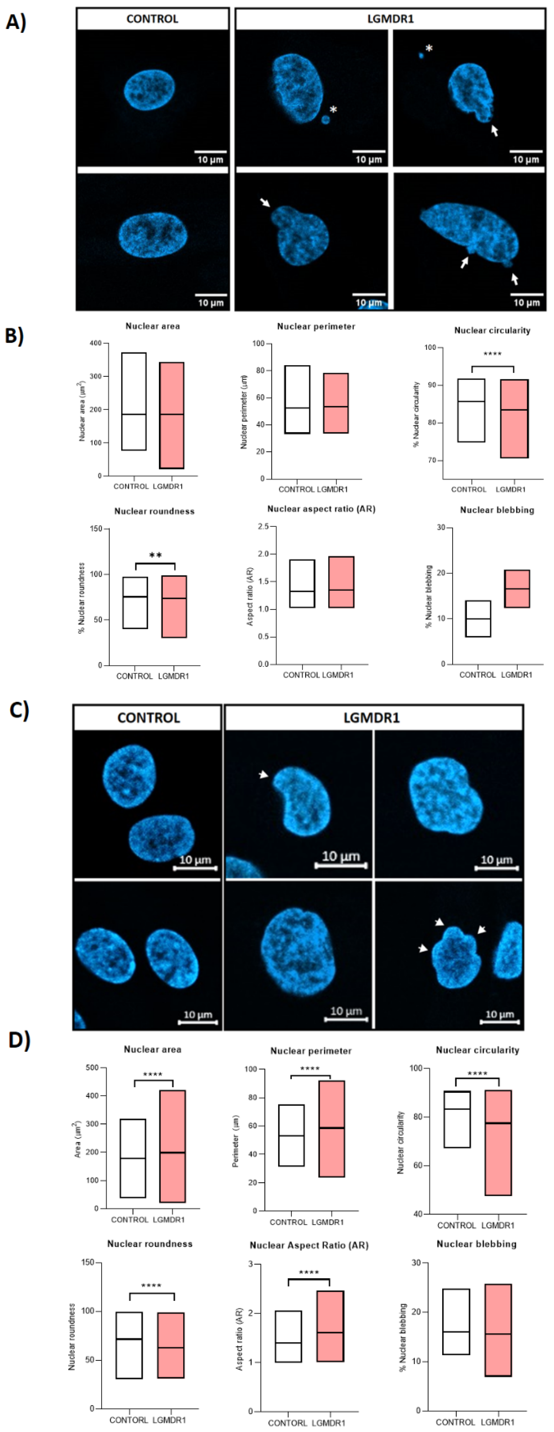 Cells 14 00446 g017a