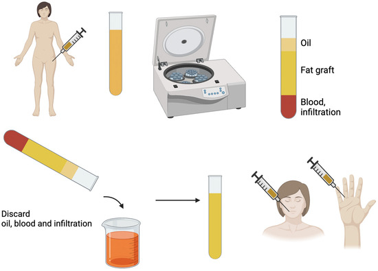 A Comprehensive Exploration of the Biological Effects of