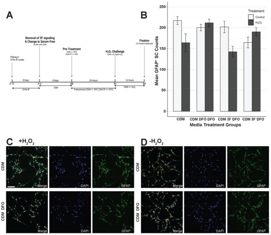 Efficacy of Deferoxamine Mesylate in Serum and Serum-Free