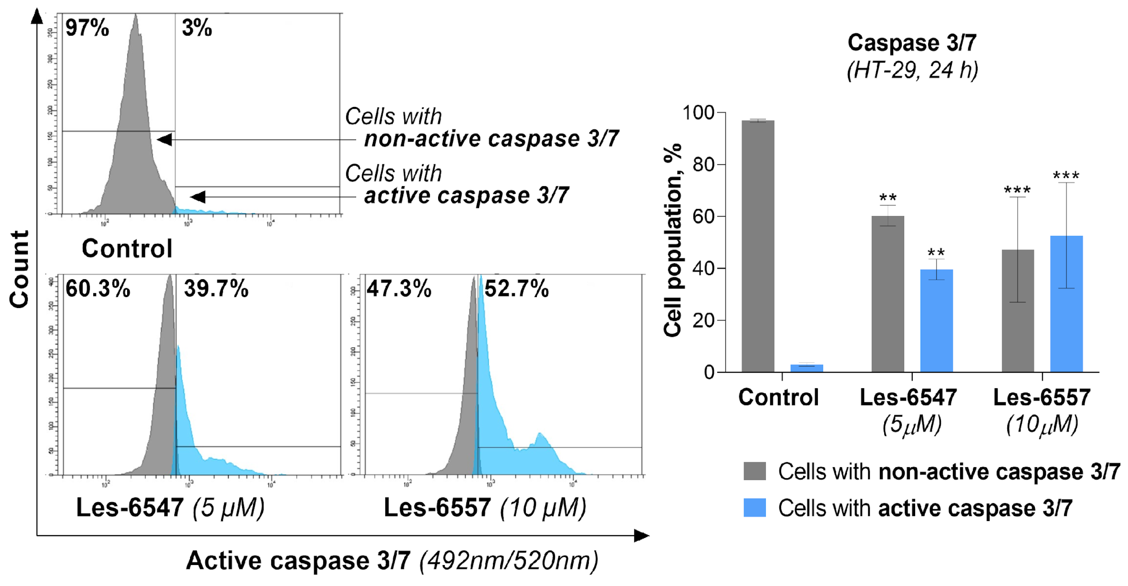 Cells 14 00465 g012