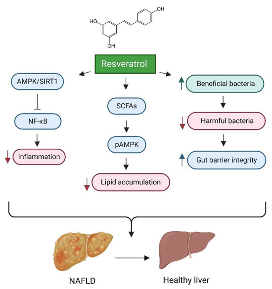 cjc 1295 ipamorelin cardiac benefits CJC-1295 Ipamorelin in Houston