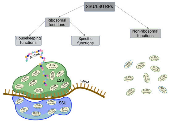 Cross-Talk Between Cancer and Its Cellular Environment—A