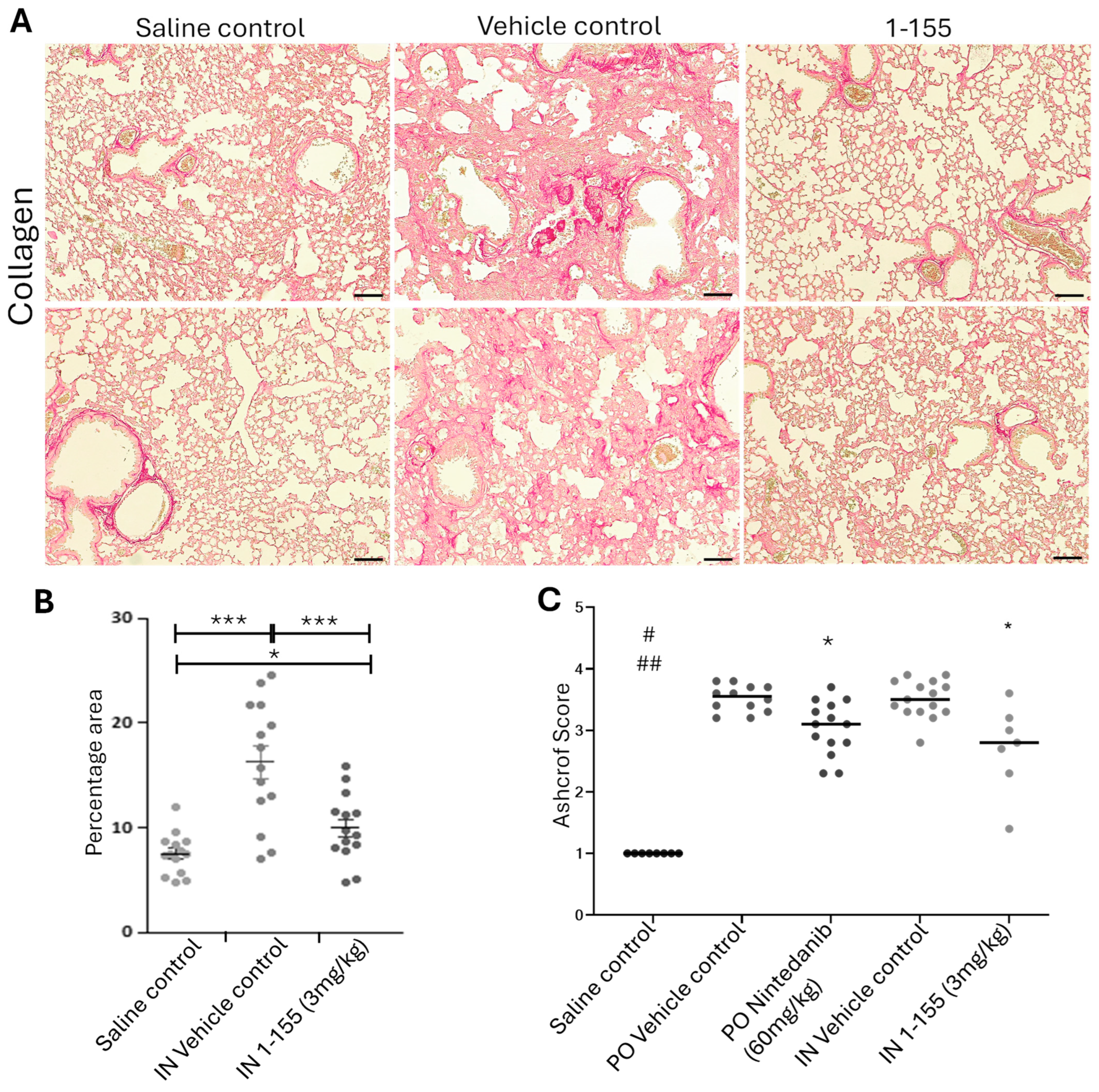 Cells 14 00497 g004a