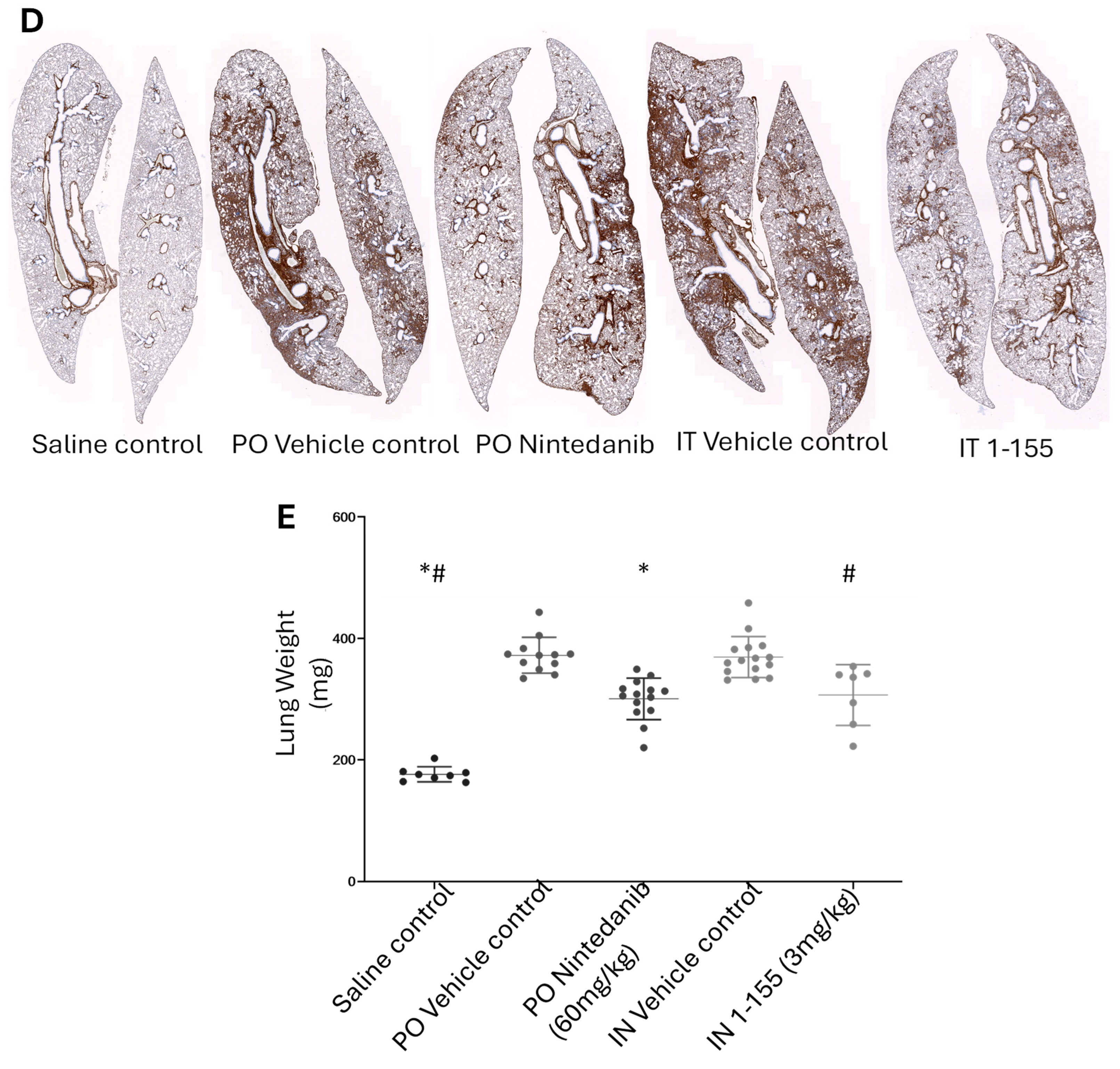Cells 14 00497 g004b