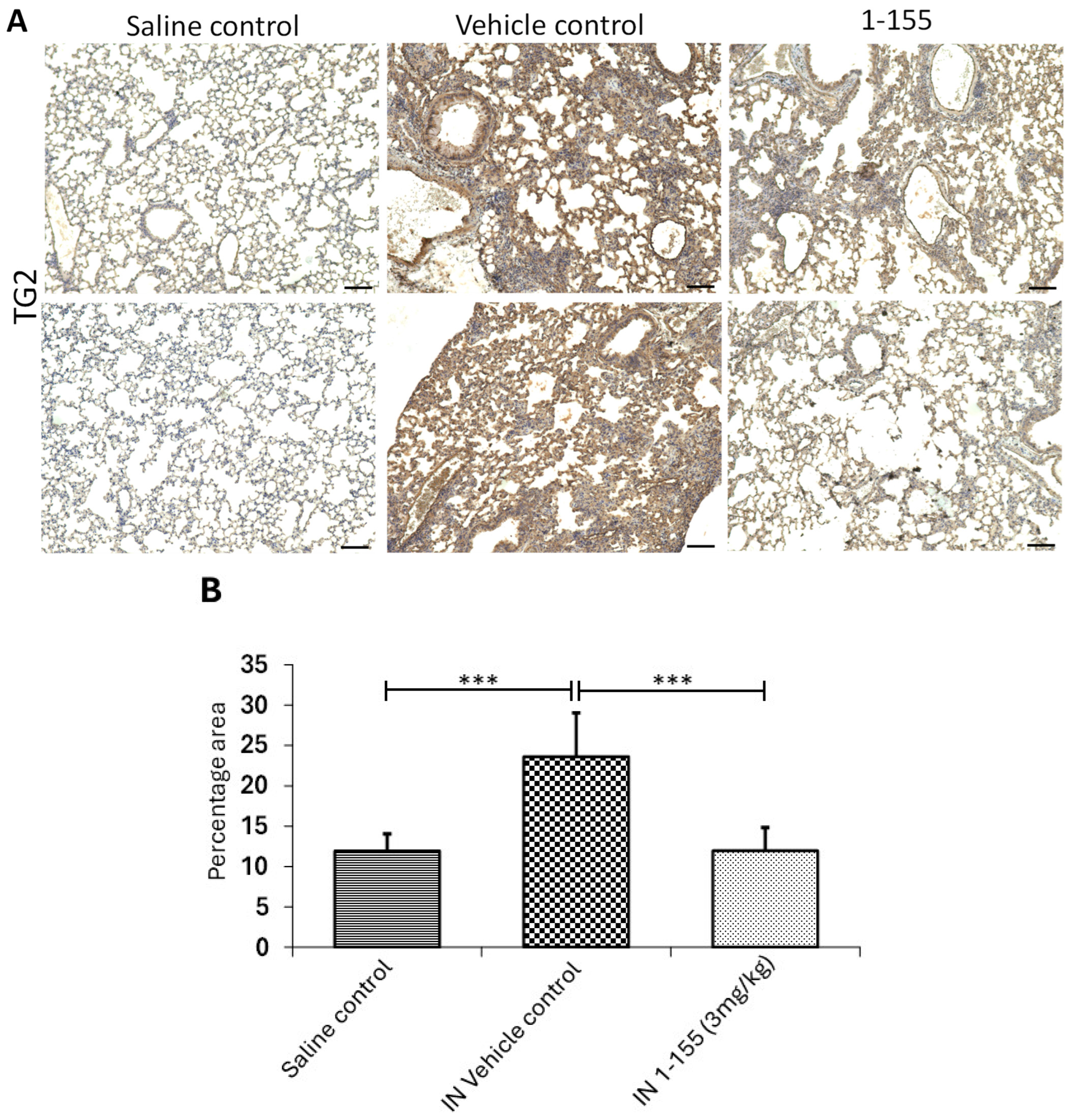 Cells 14 00497 g005a