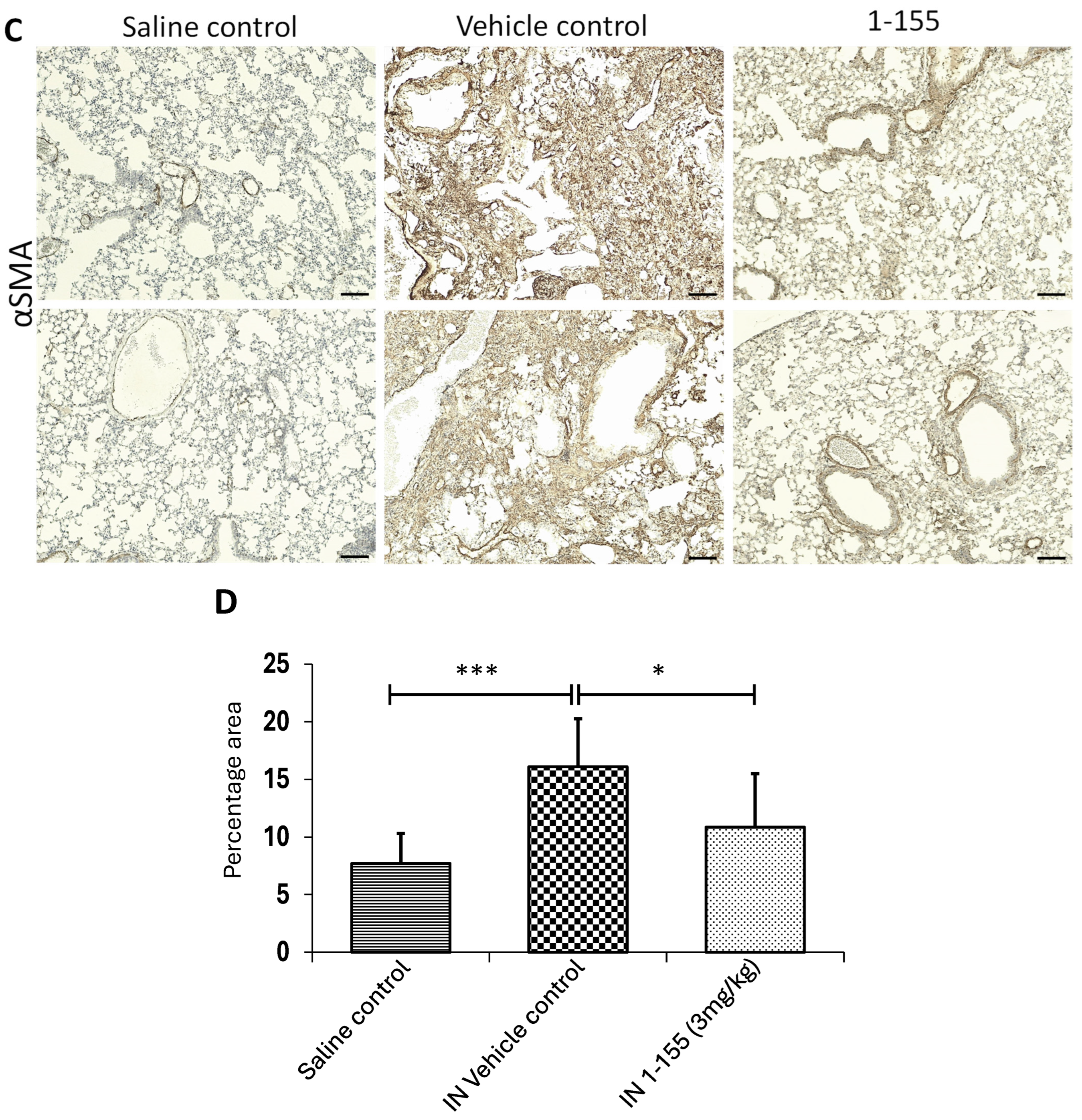 Cells 14 00497 g005b