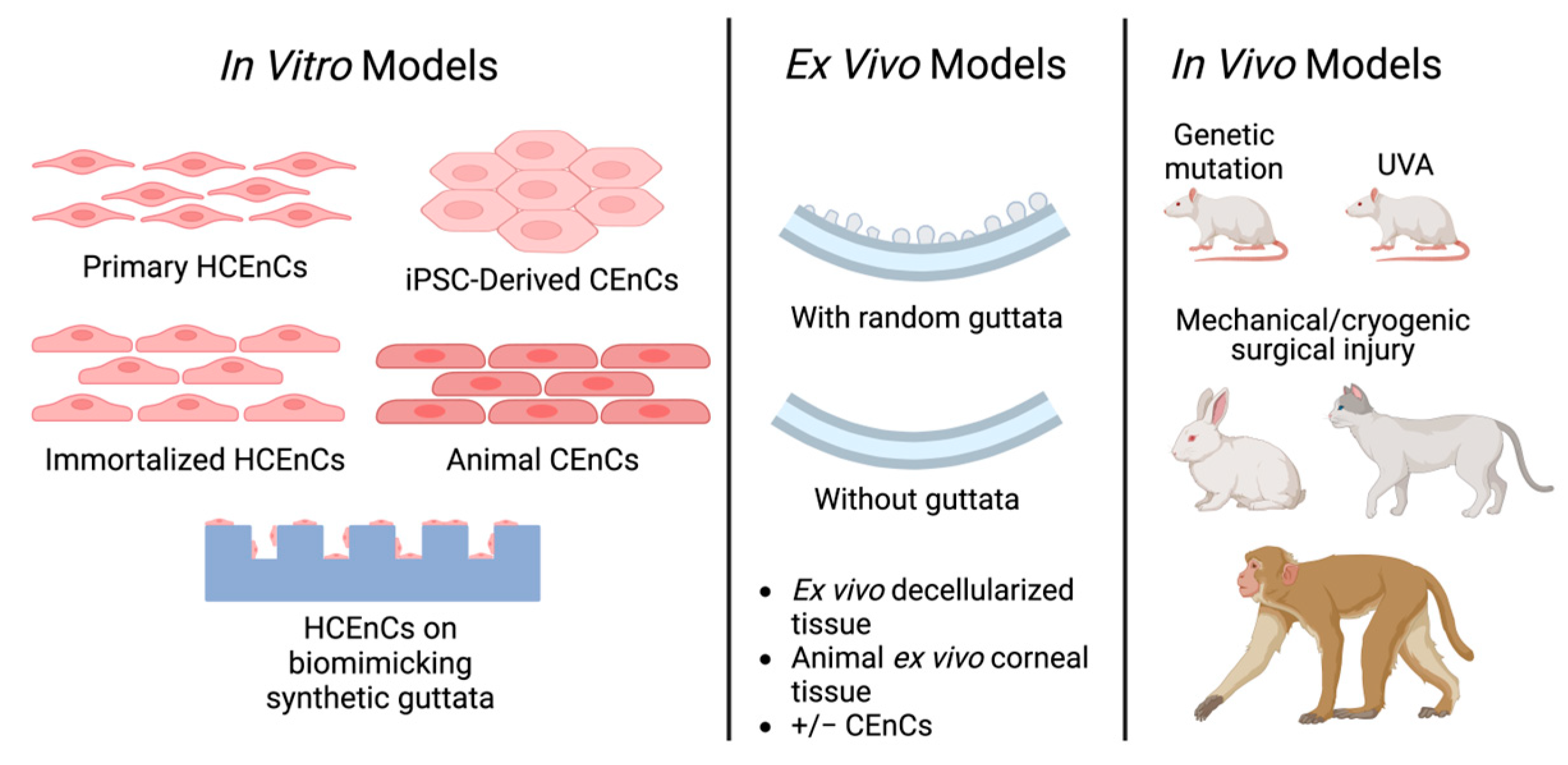 Cells 14 00505 g004 Cells 14 00505 g004