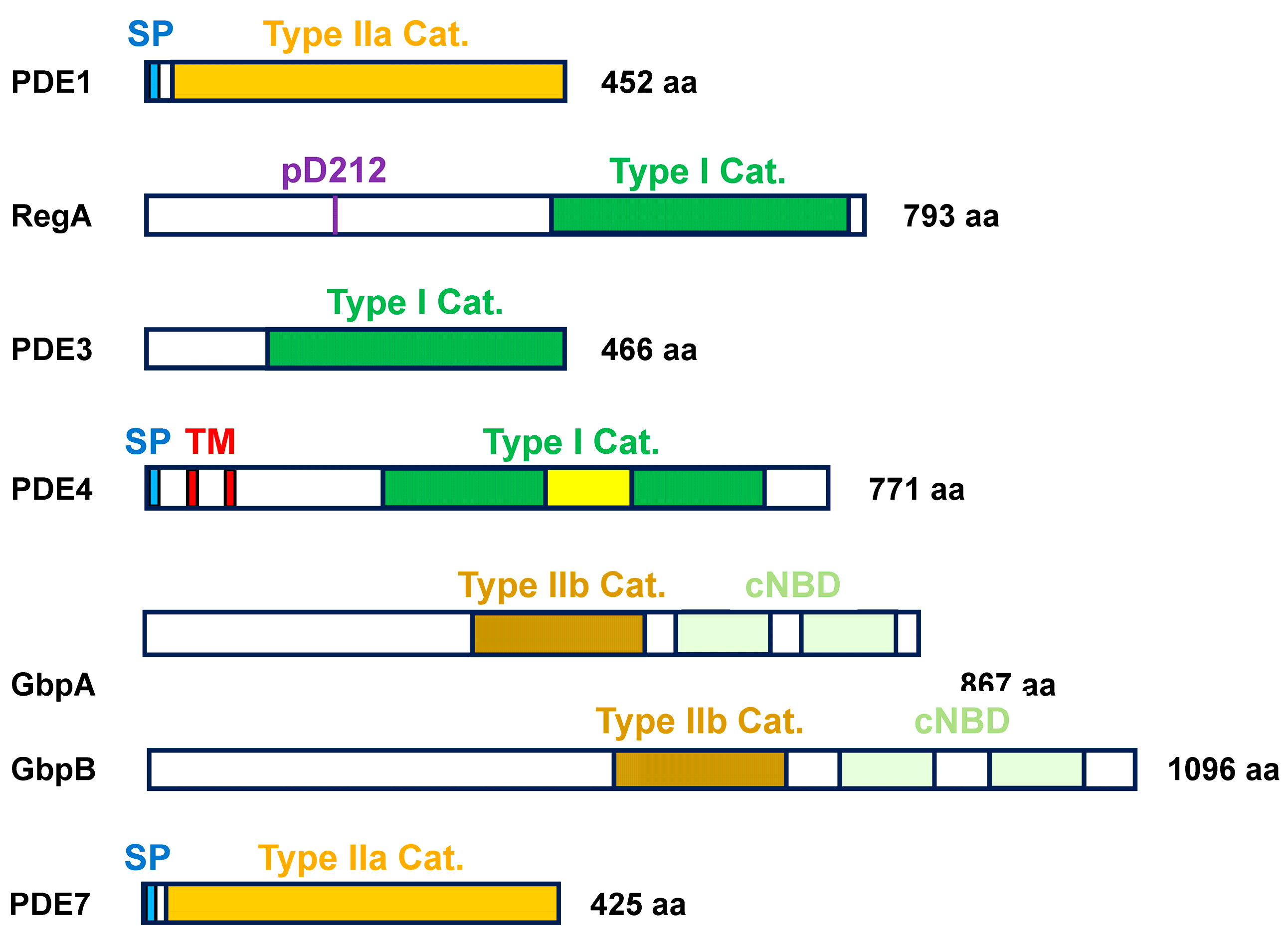 Cells 14 00522 g002 Cells 14 00522 g002