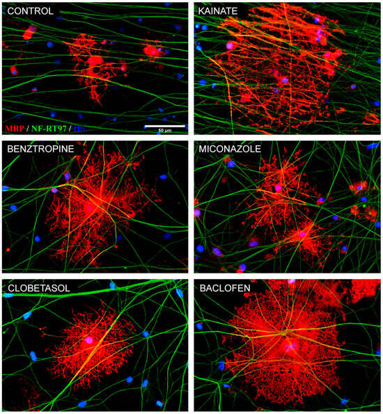 Repurposed Drugs to Enhance the Therapeutic Potential of