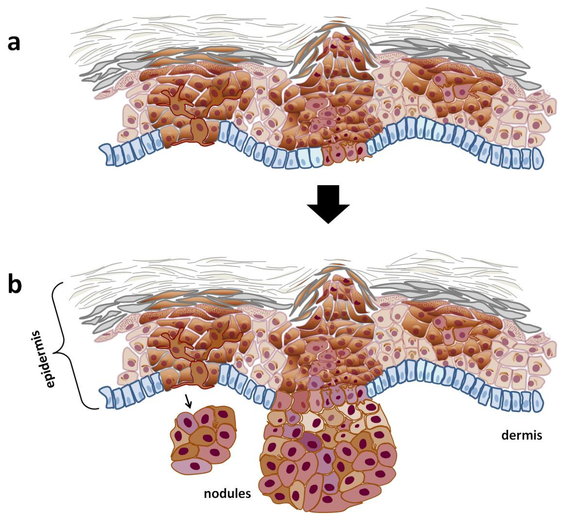 Cells 14 00534 g003 Cells 14 00534 g003