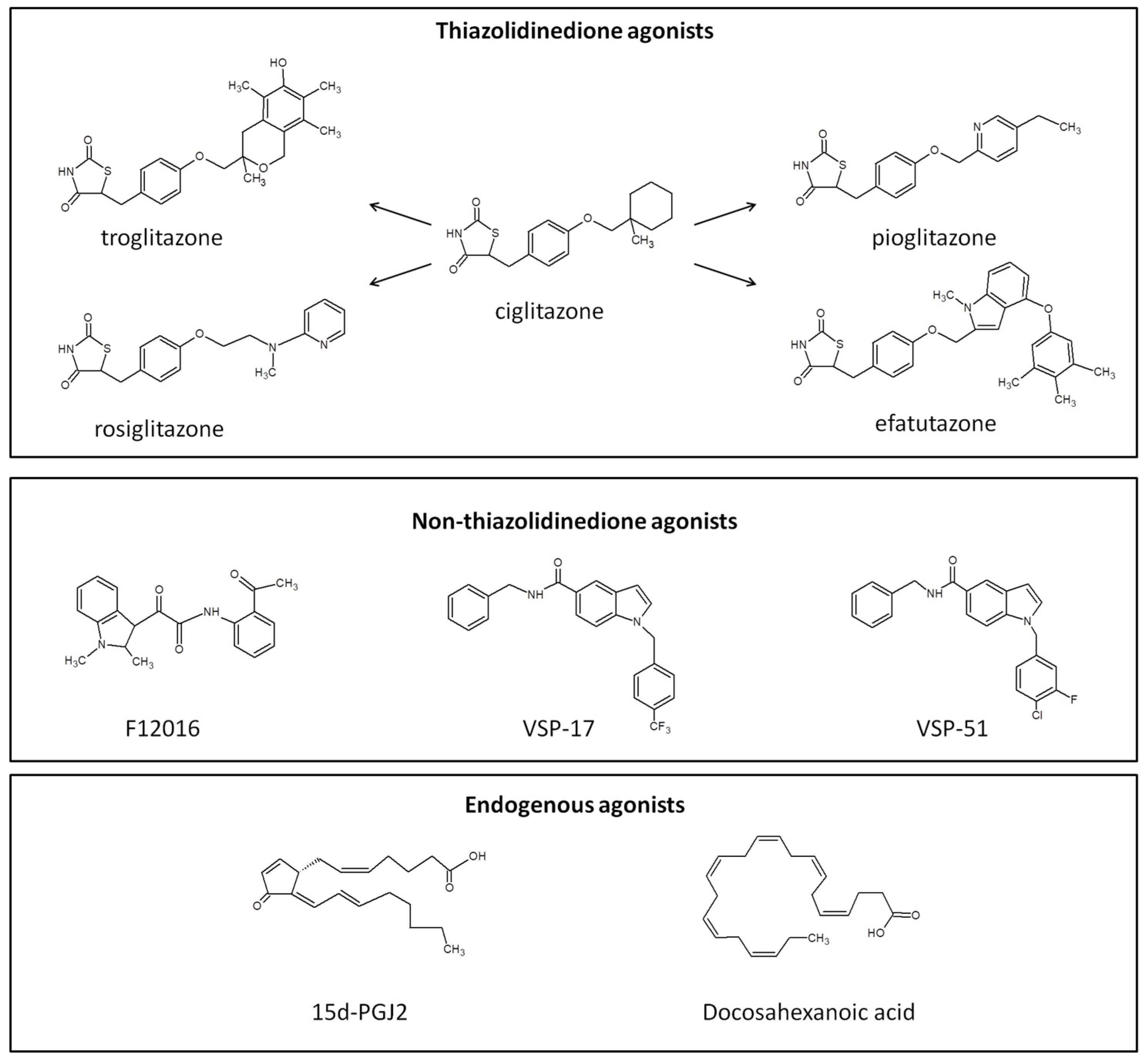 Cells 14 00534 g004 Cells 14 00534 g004