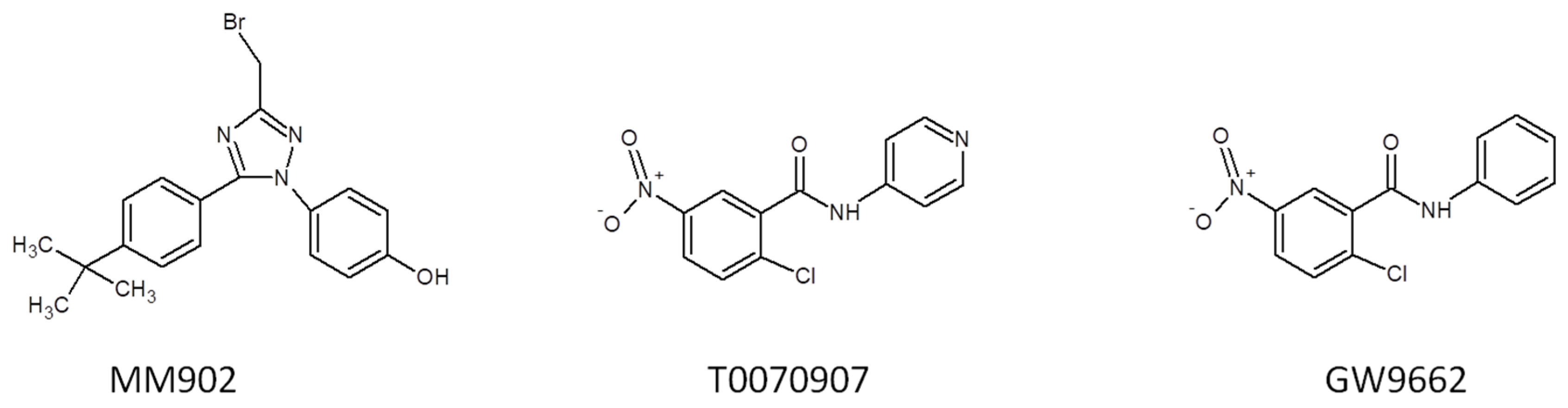Cells 14 00534 g006 Cells 14 00534 g006