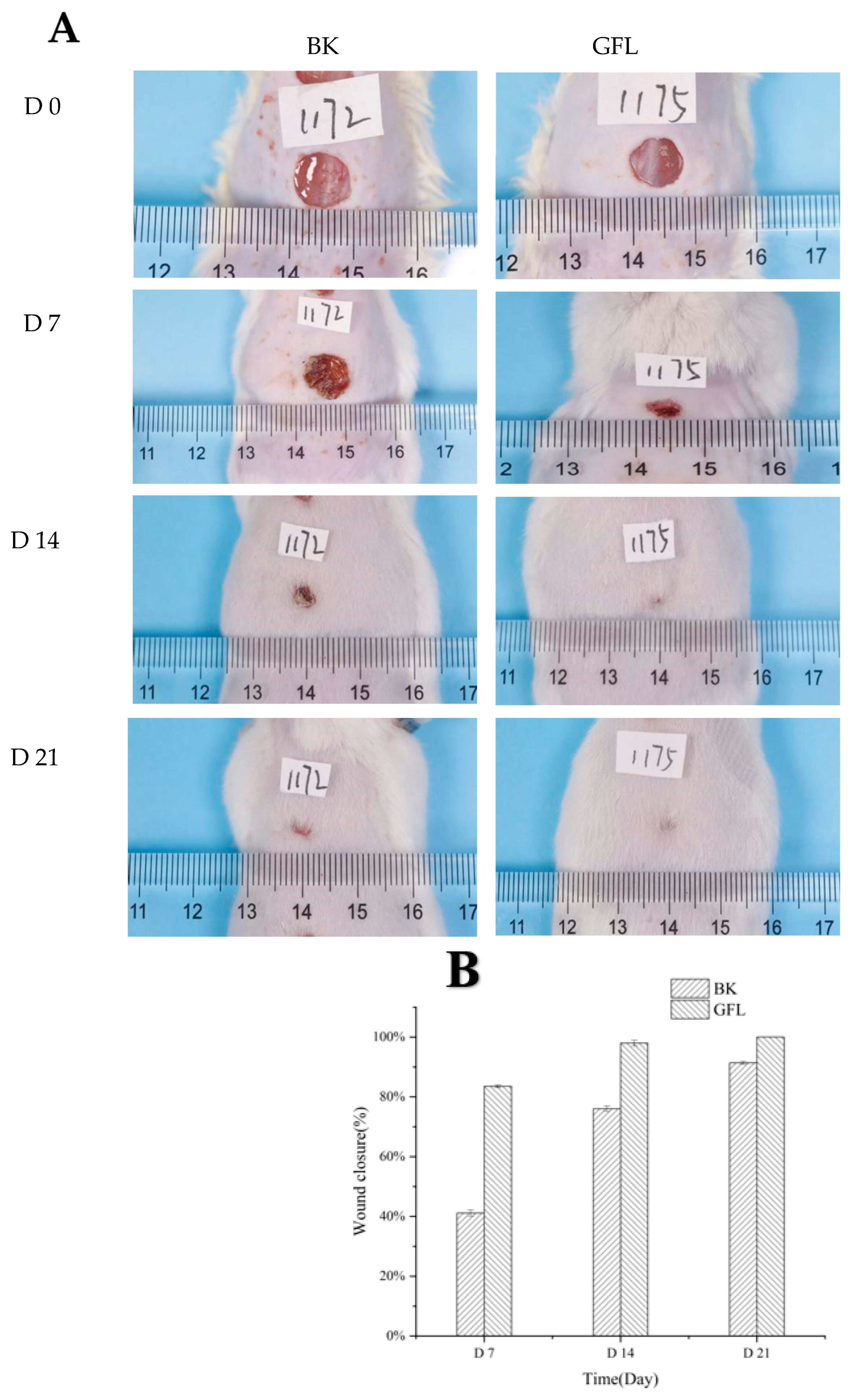 Cells 14 00537 g006a