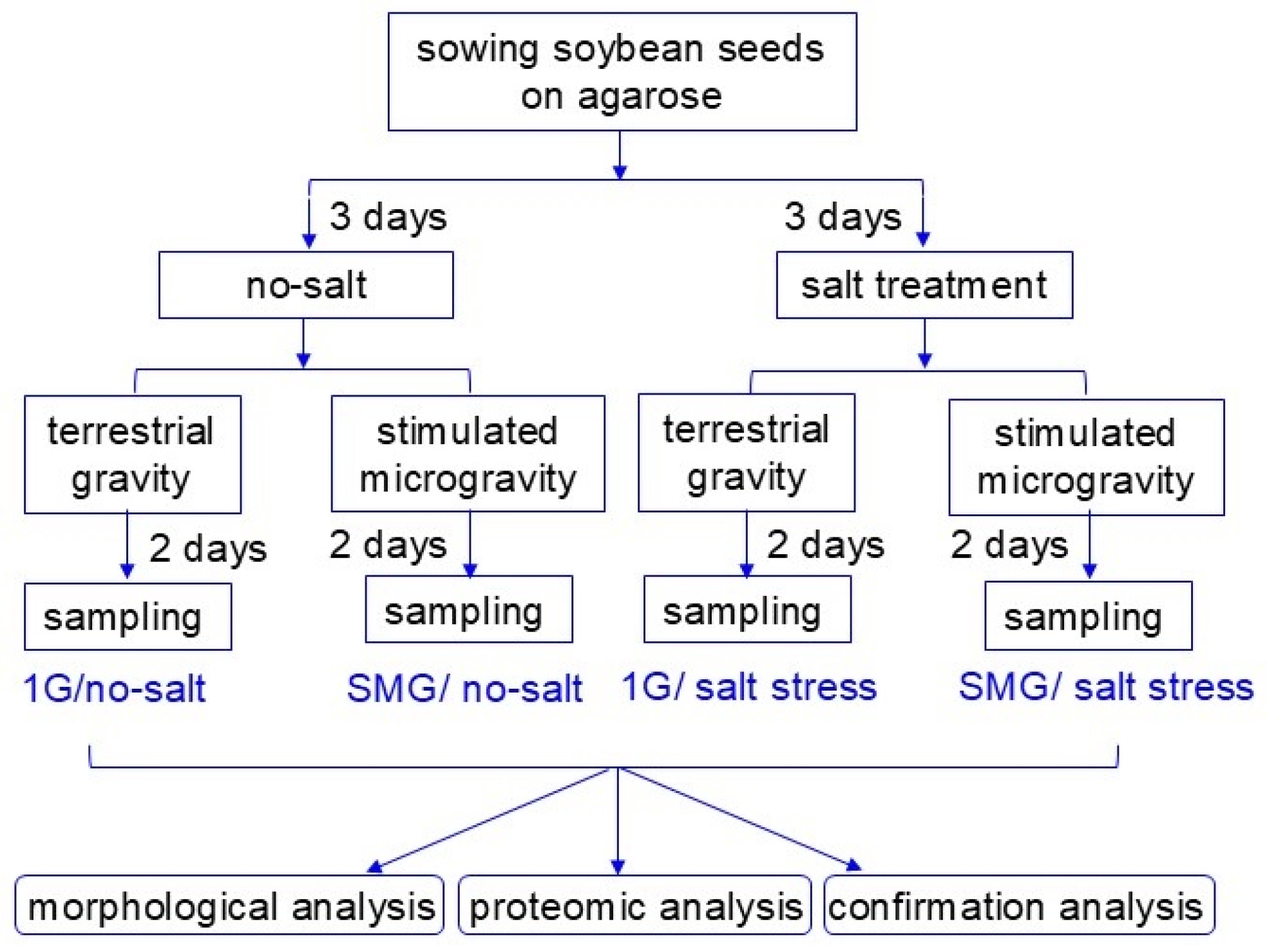 Cells 14 00541 g001 Cells 14 00541 g001
