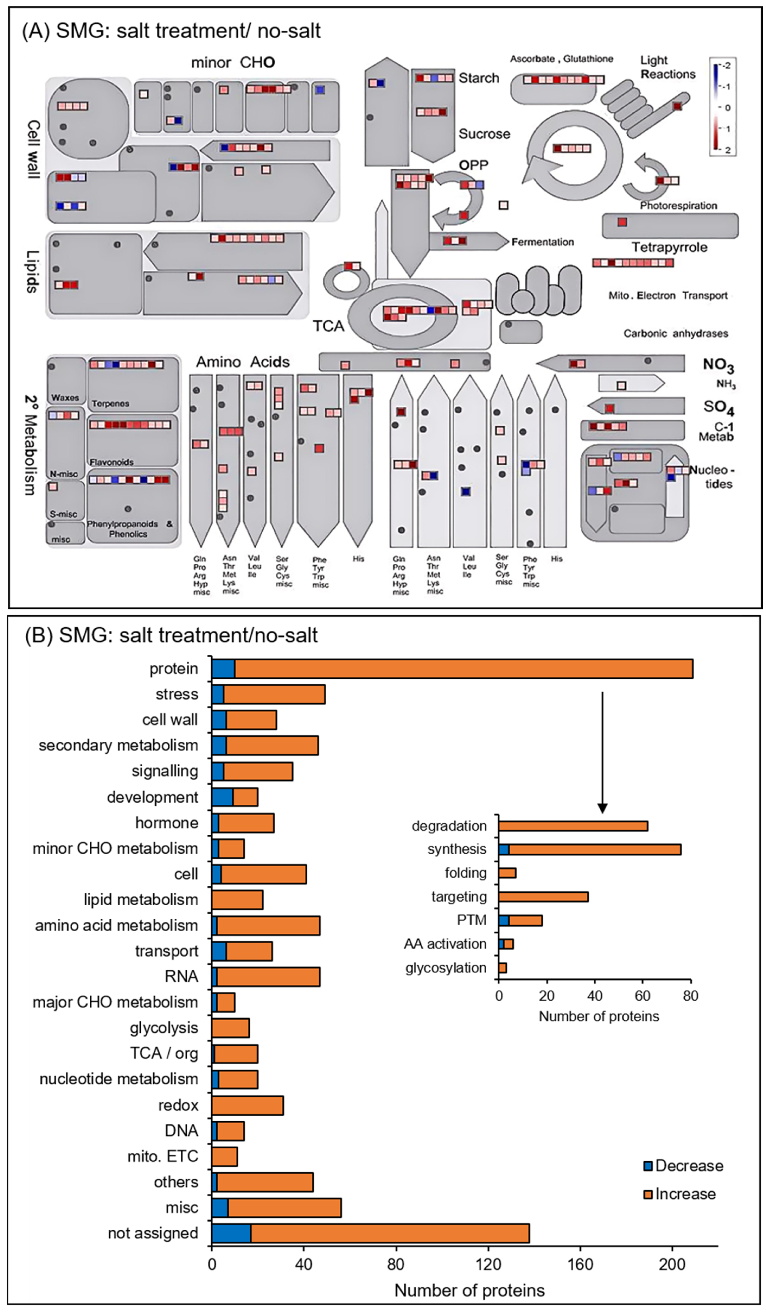 Cells 14 00541 g006 Cells 14 00541 g006