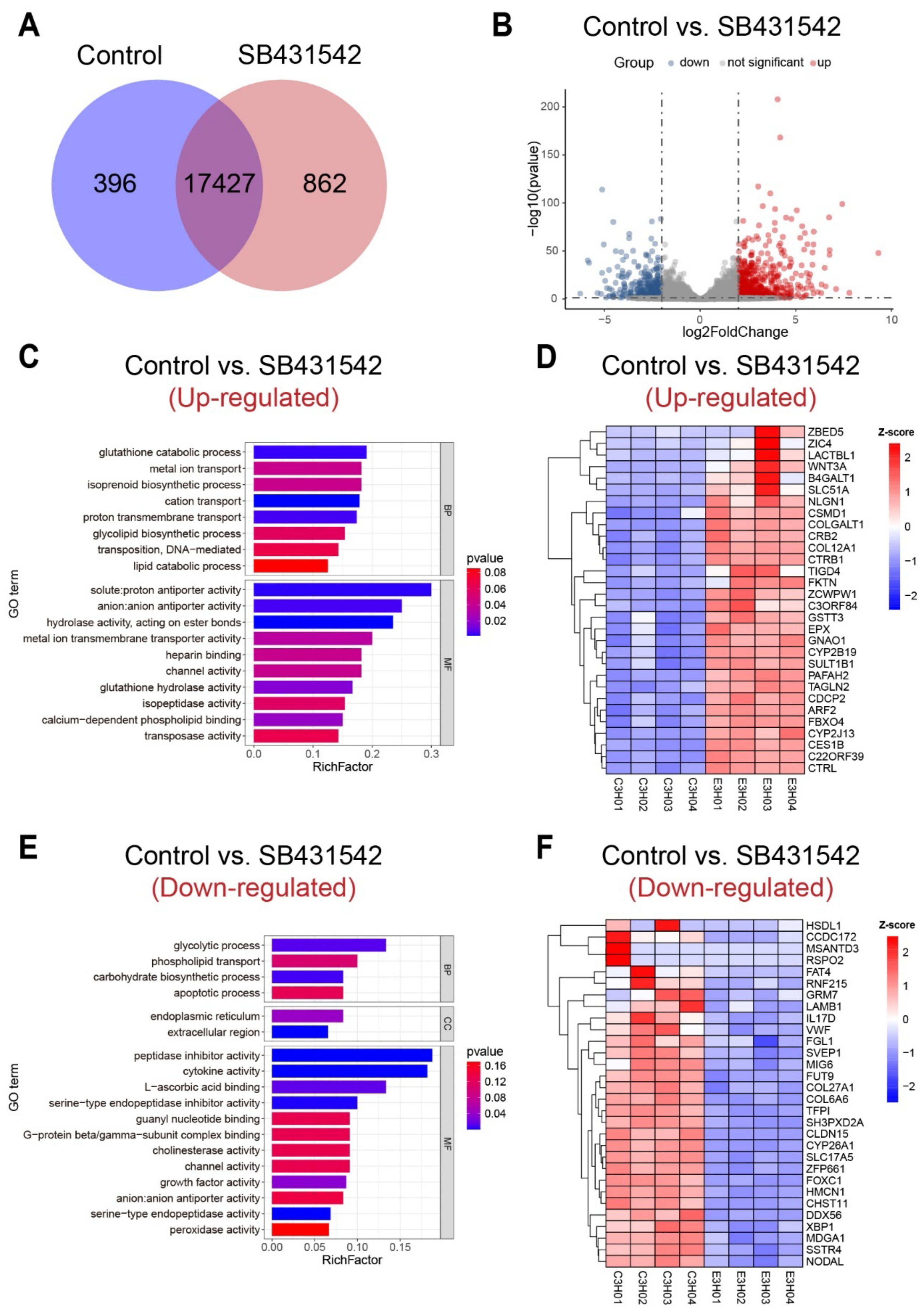 Cells 14 00546 g003 Cells 14 00546 g003