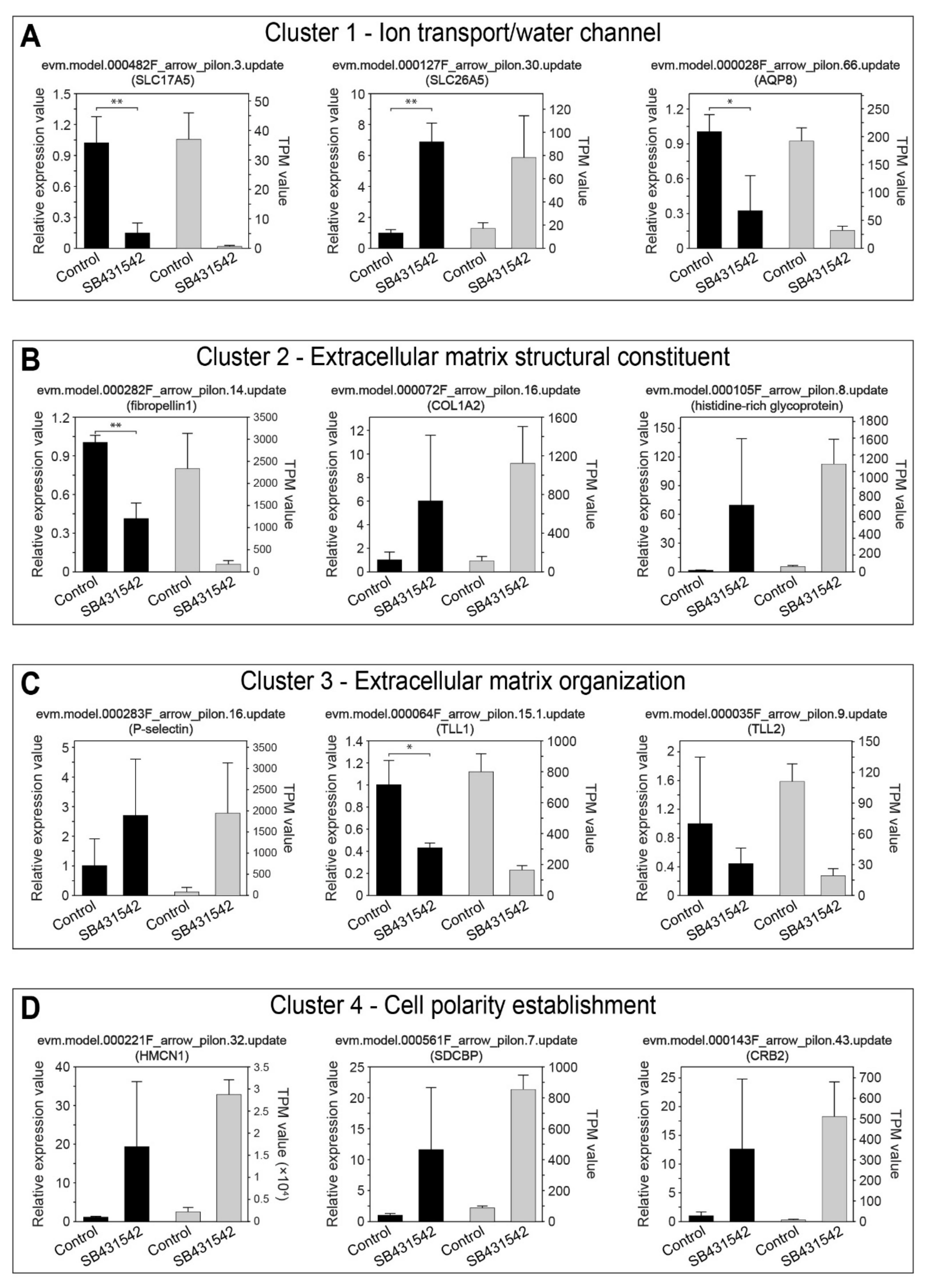 Cells 14 00546 g004 Cells 14 00546 g004